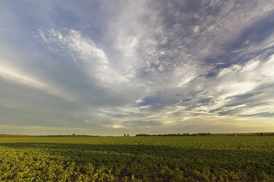near Nickerson Nebraska, 5Ds