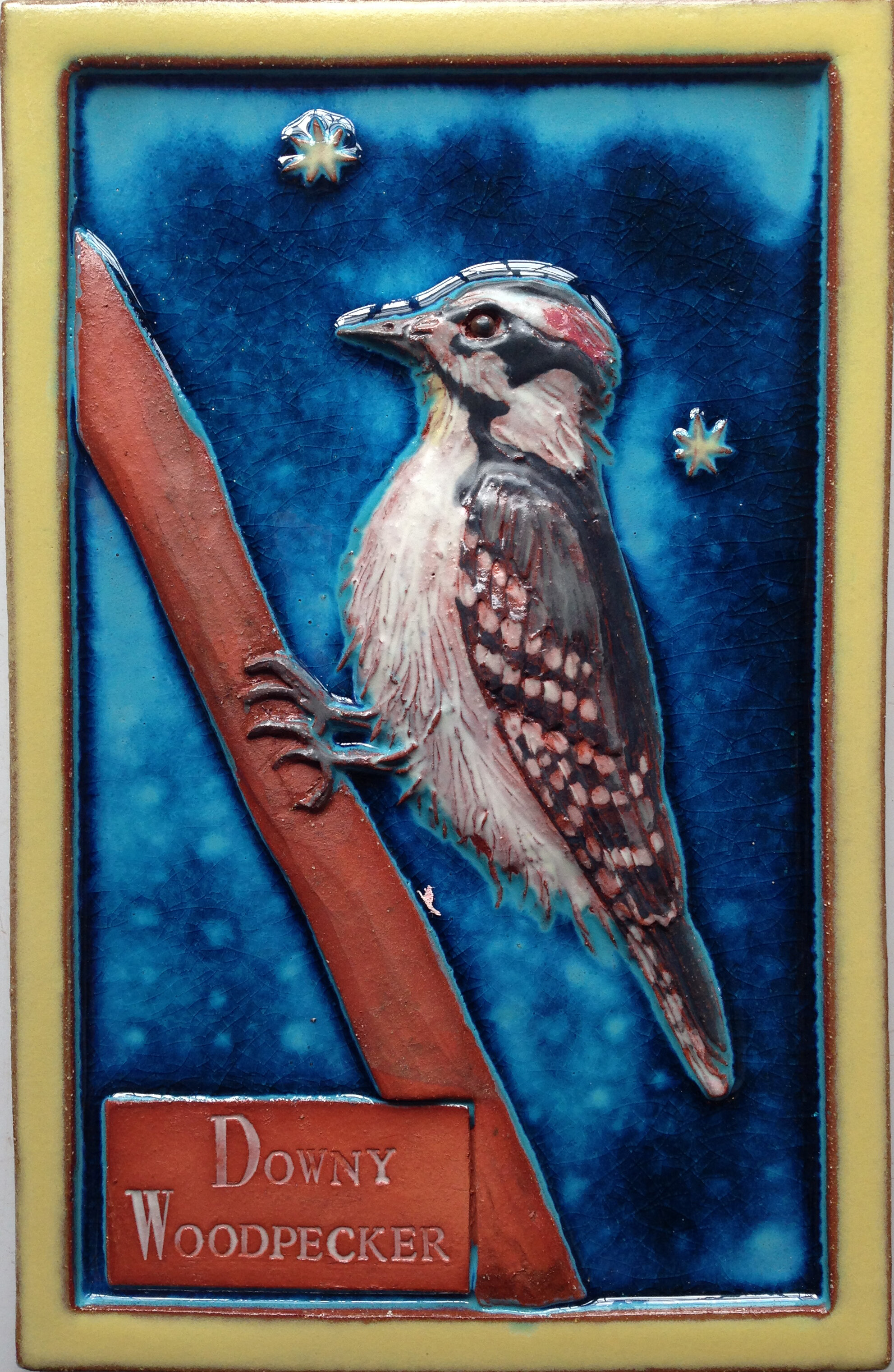 Downy woodpecker.jpg