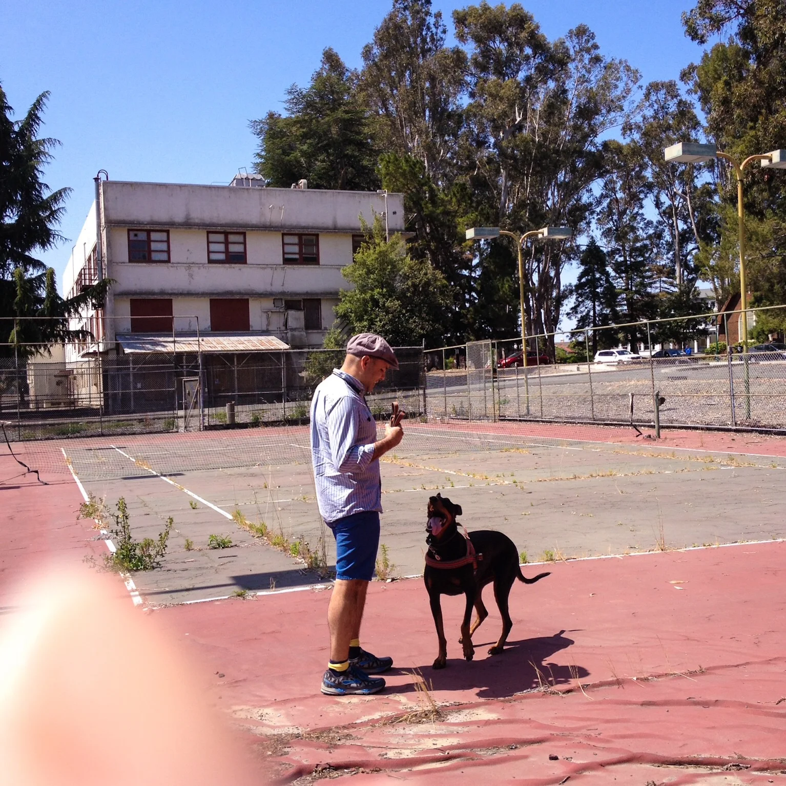 Chloe and Albert on Abandoned Tennis Court; Mare Island, CA