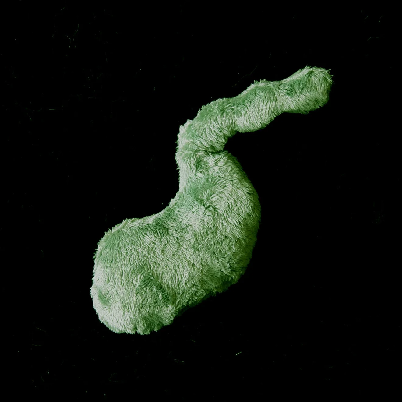 Gall Bladder