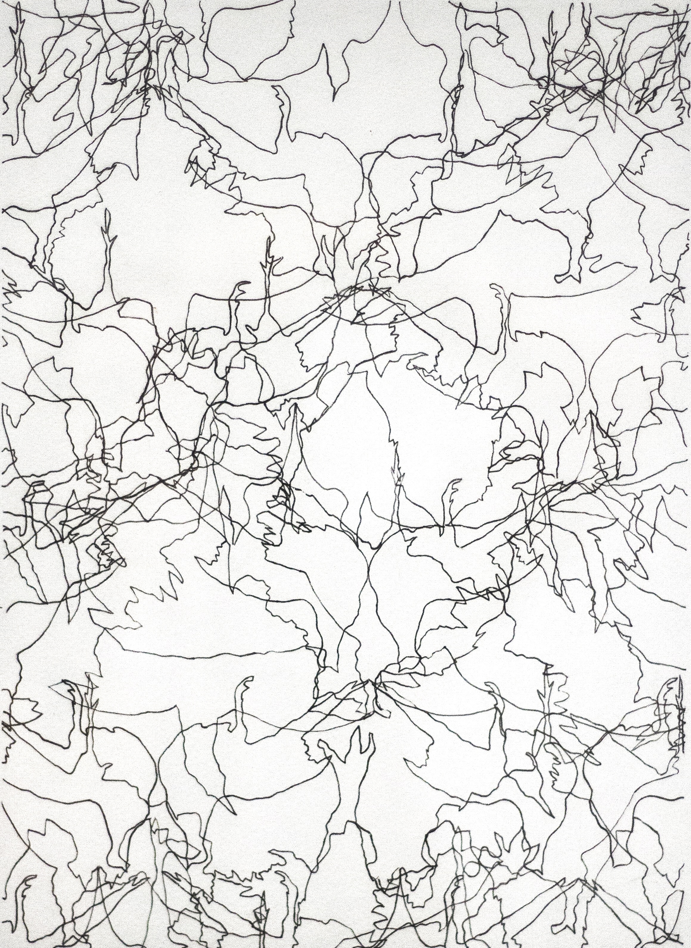 Flock of Birds