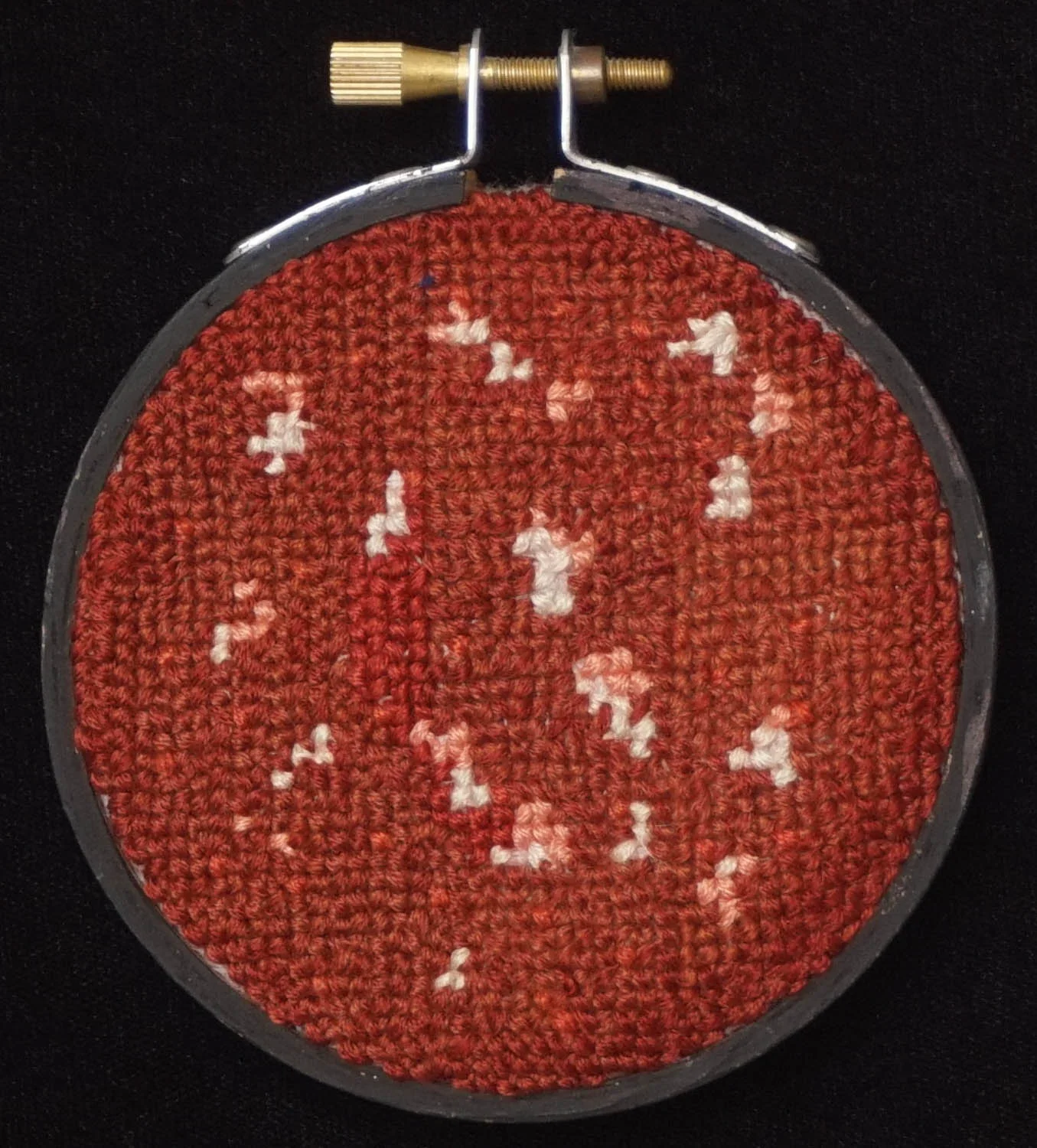 Salami