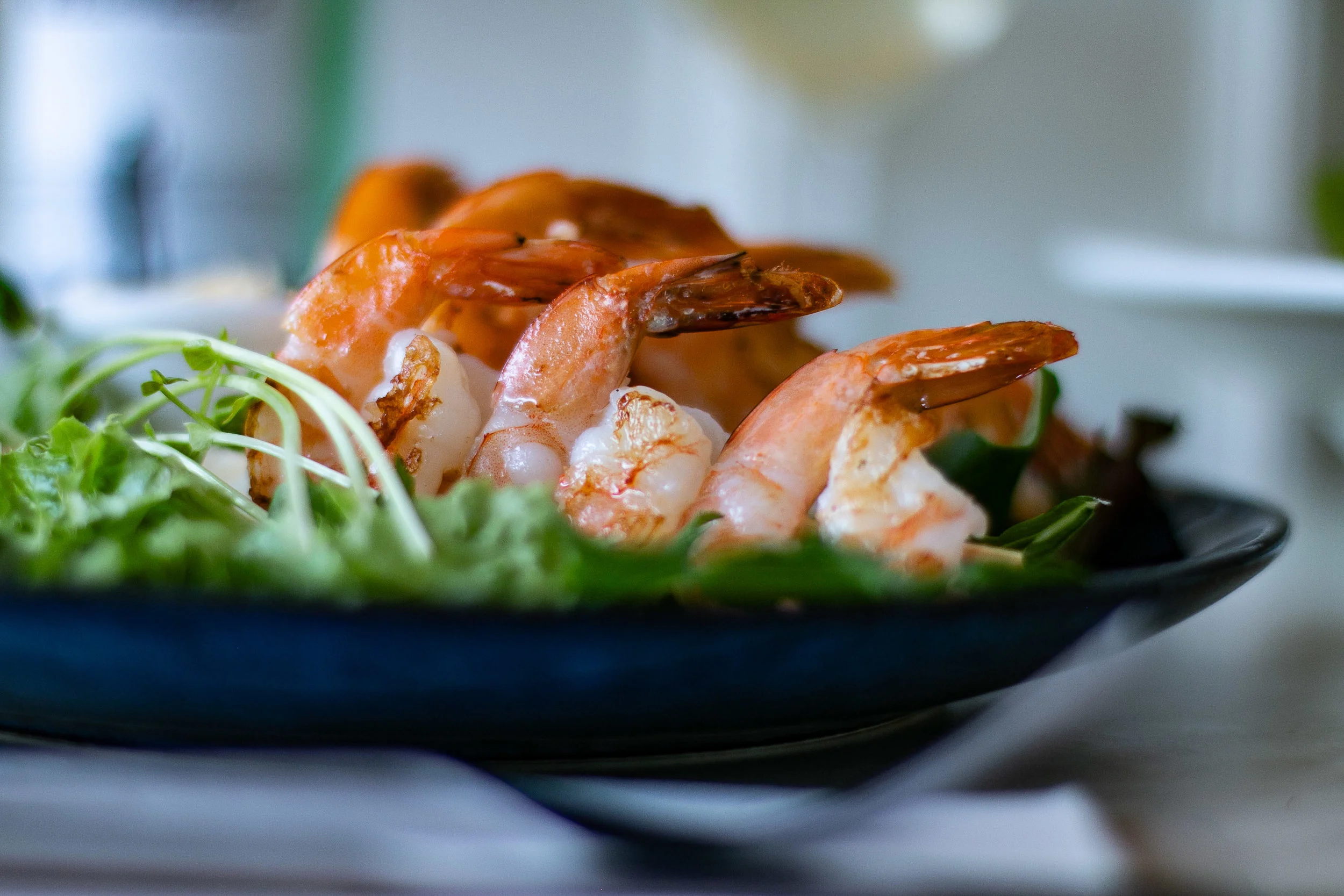 ParagonCafe_VISUALco-3392.jpg
