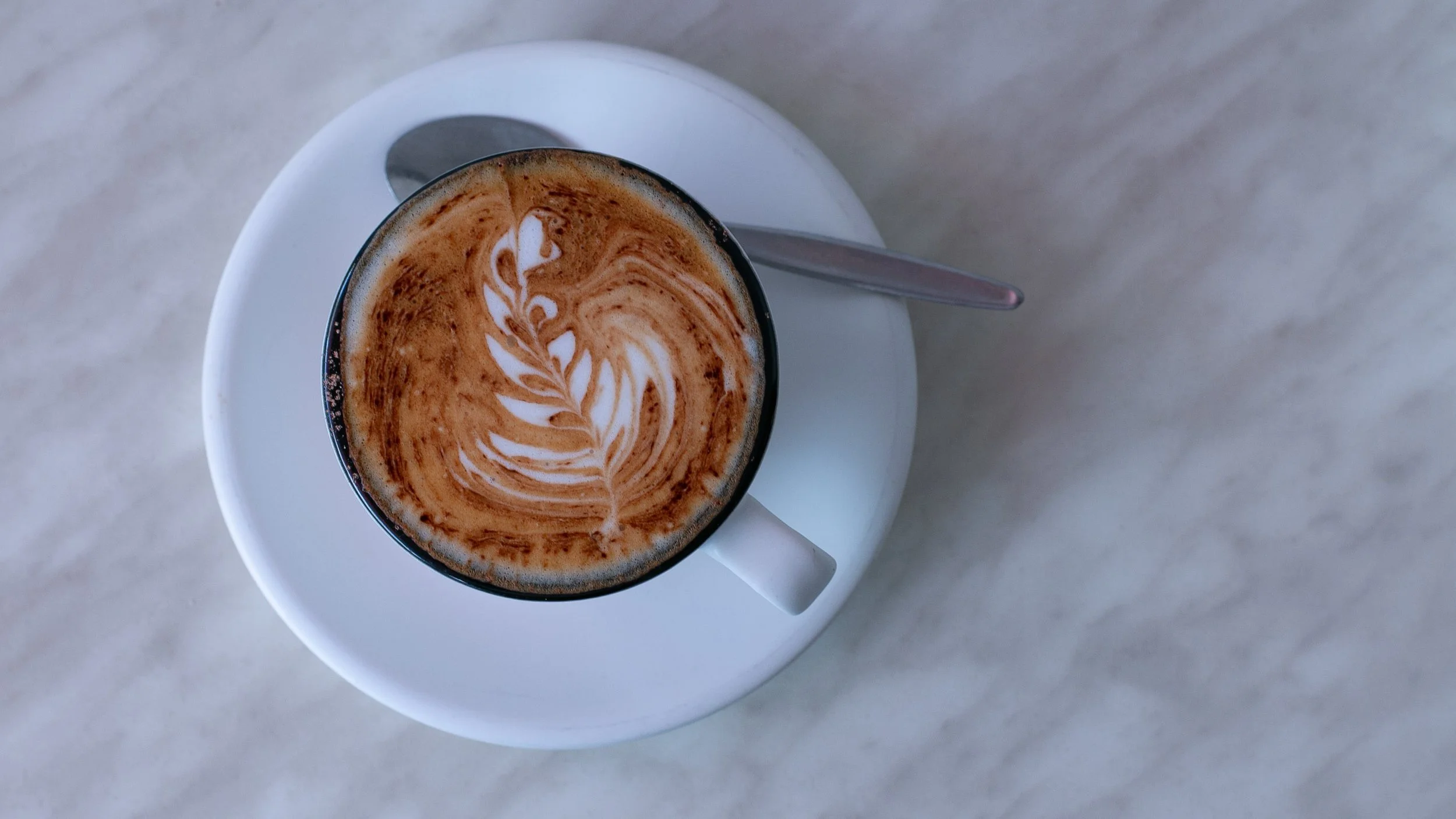 ParagonCafe_VISUALco-3583.jpg