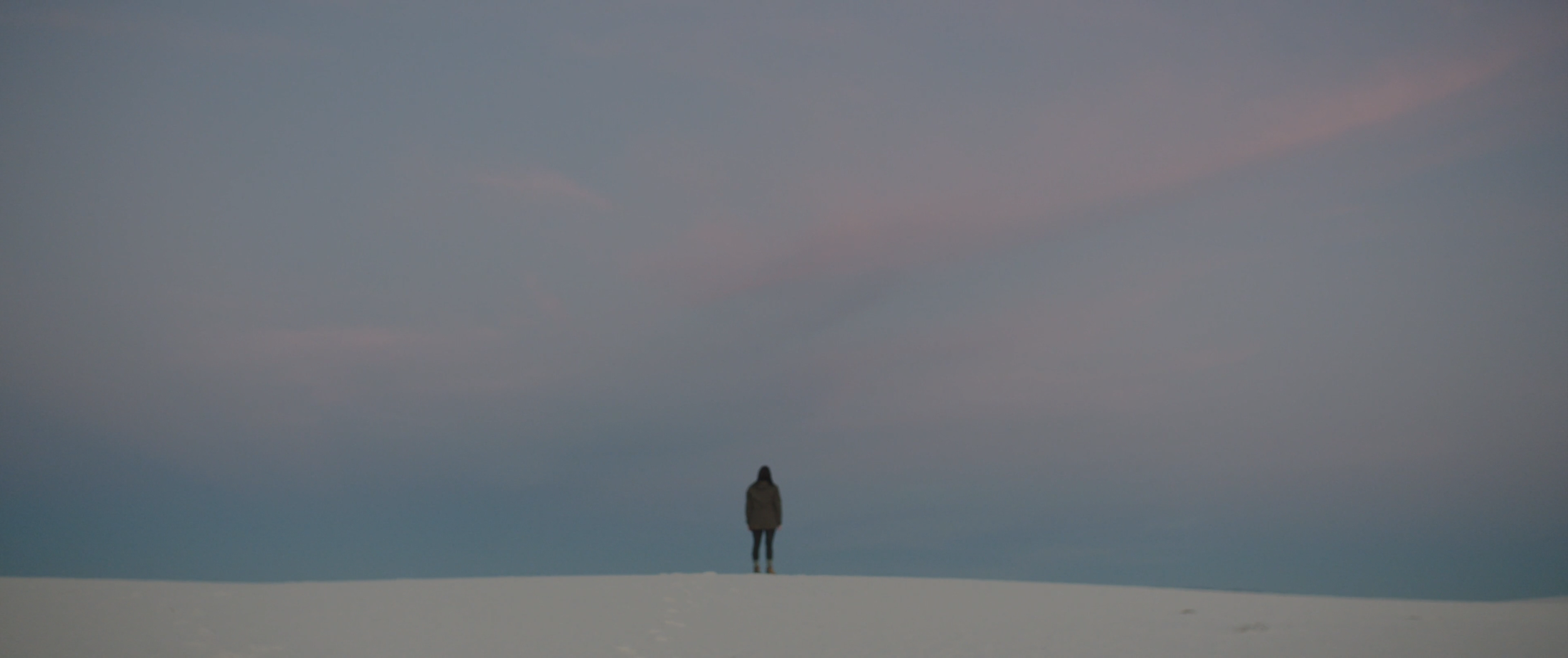 Screenshot 2026-02-26 at 3.08.29 PM.png