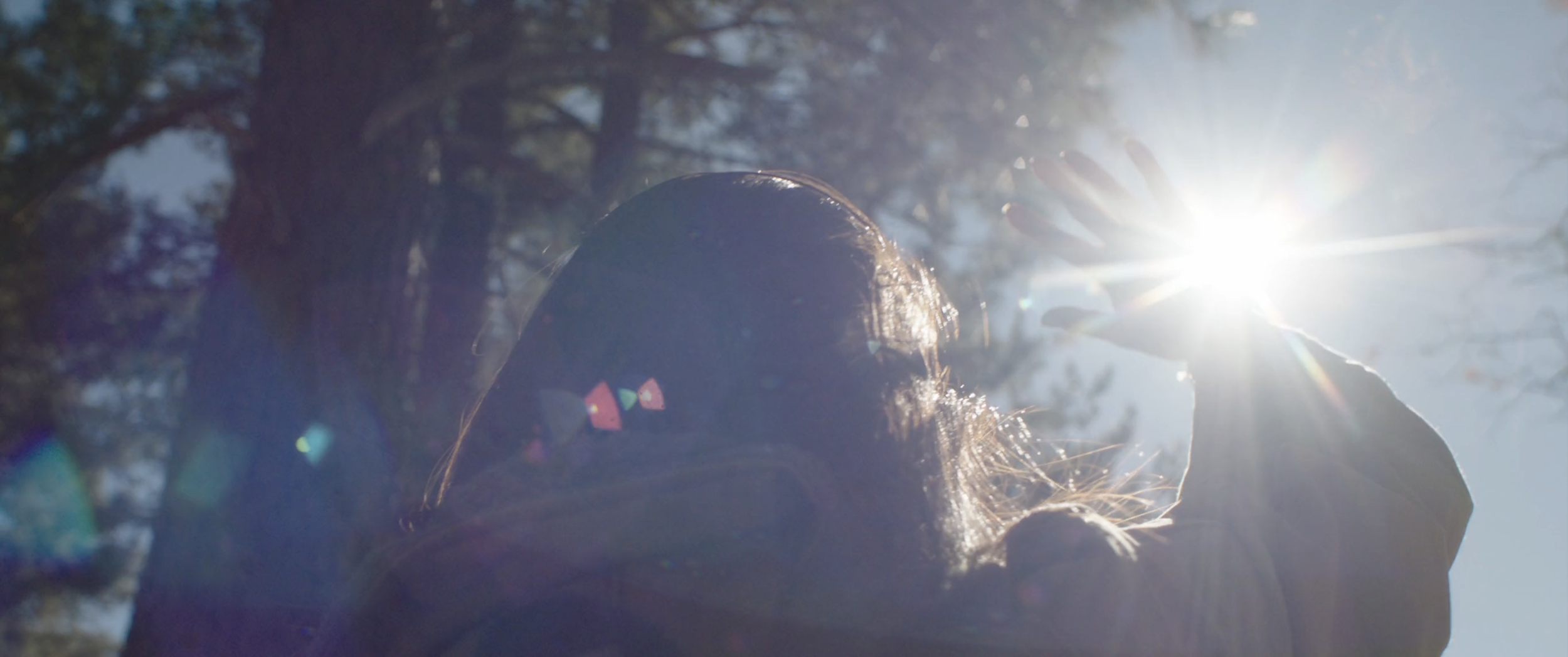 Screenshot 2026-02-26 at 3.11.29 PM.png