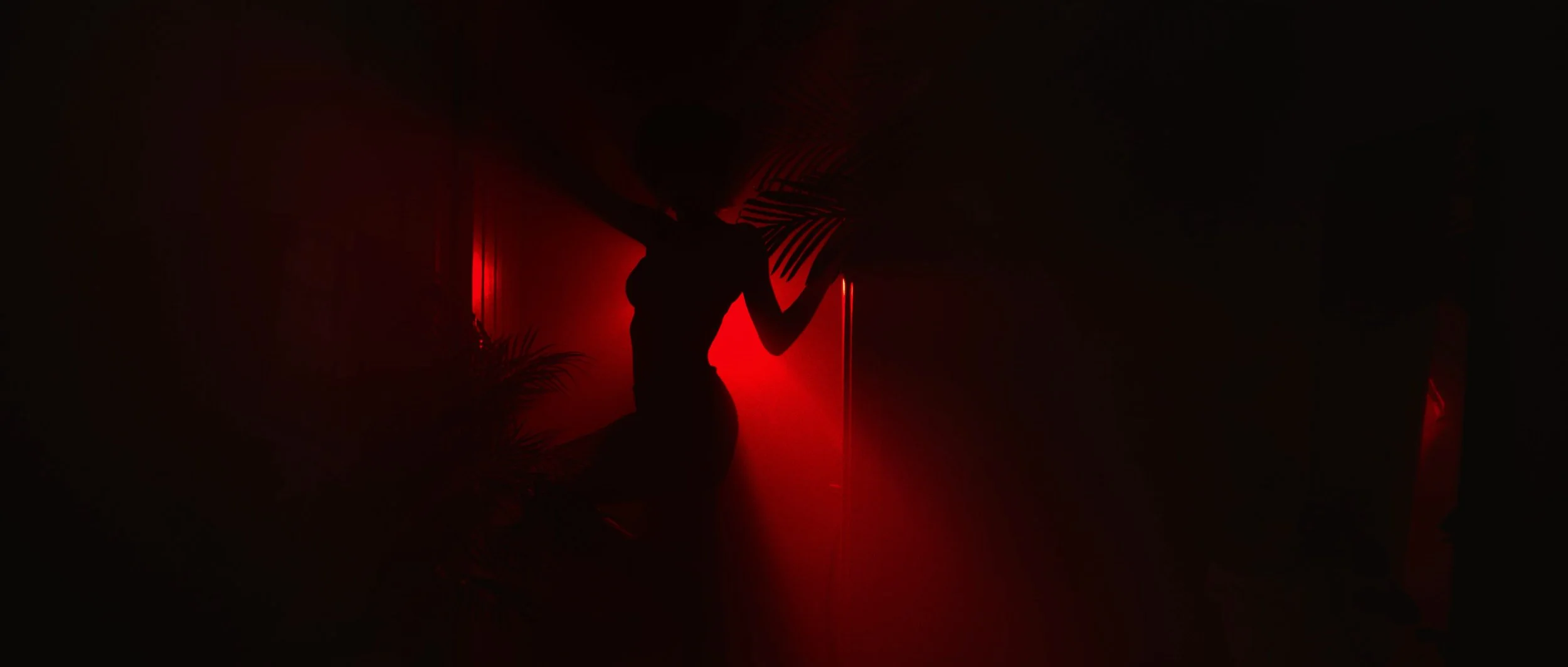 Let The Light In_Still_2.jpg