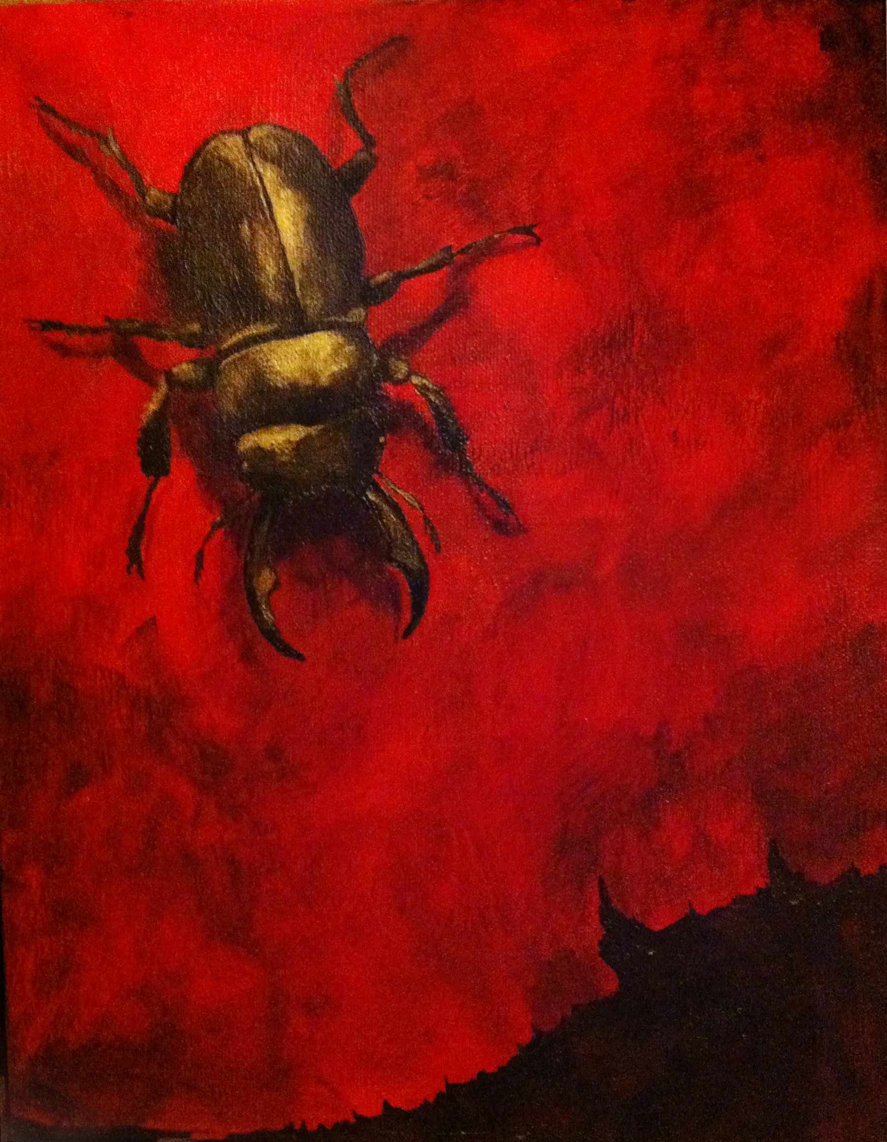 Stag Beetle (Lucanus cervus)