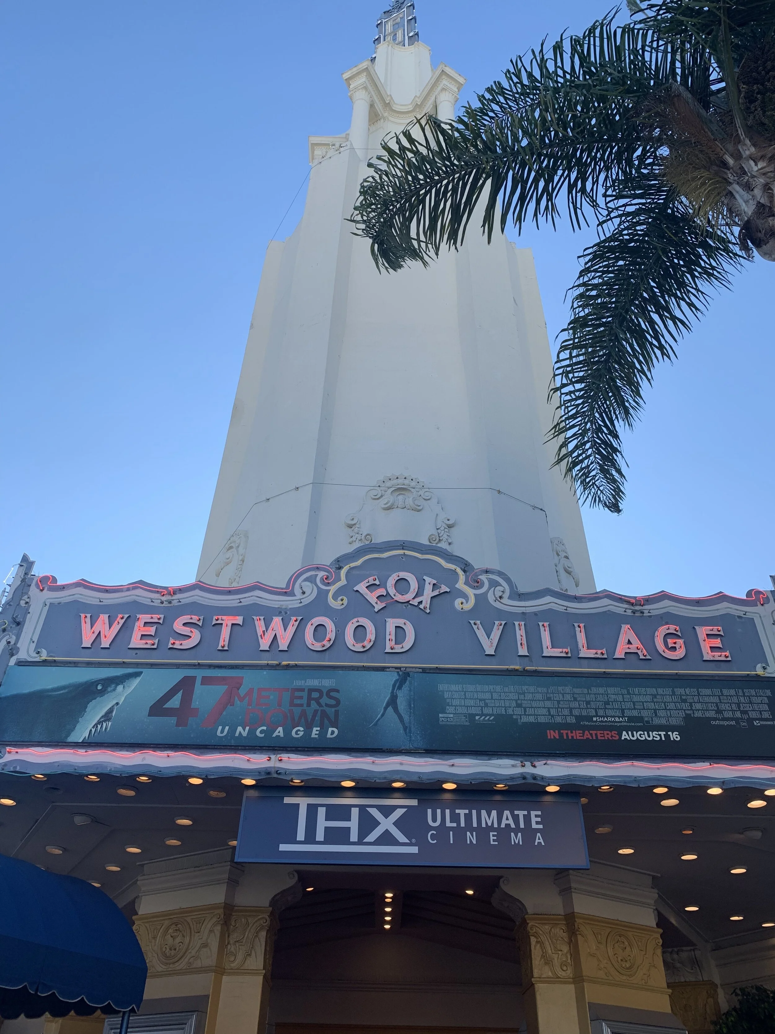 IMG_8875.jpeg