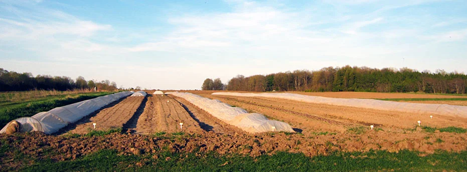 land01.jpg