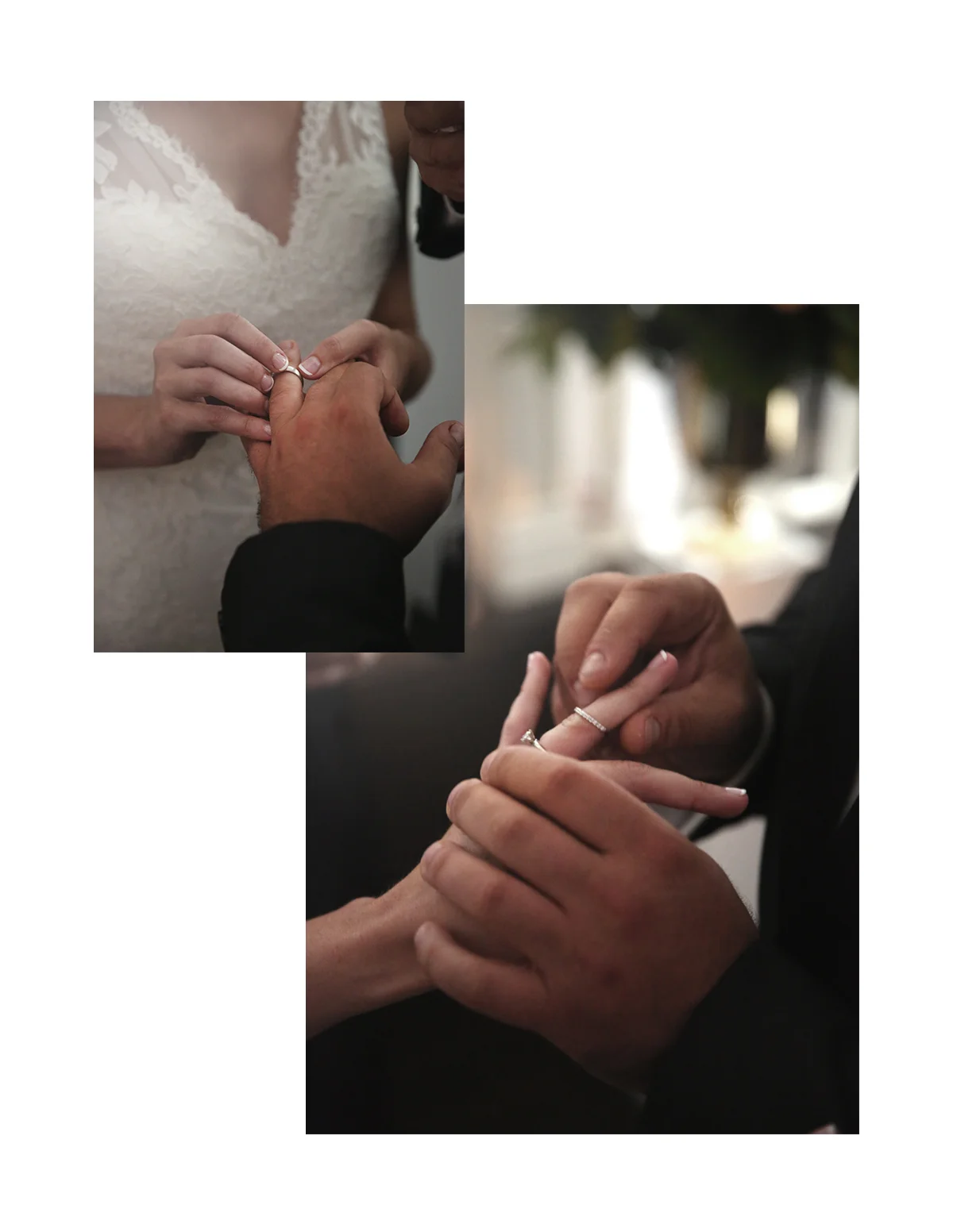 Rings.jpg