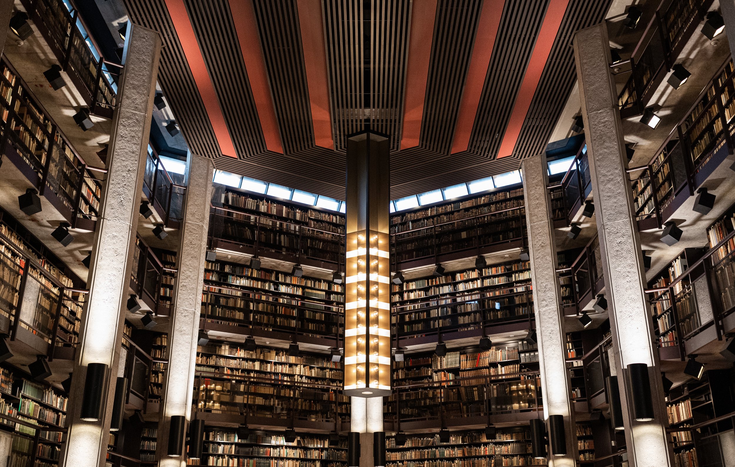 Libraries_Volpe_Nov 2022_Selects-4.jpg