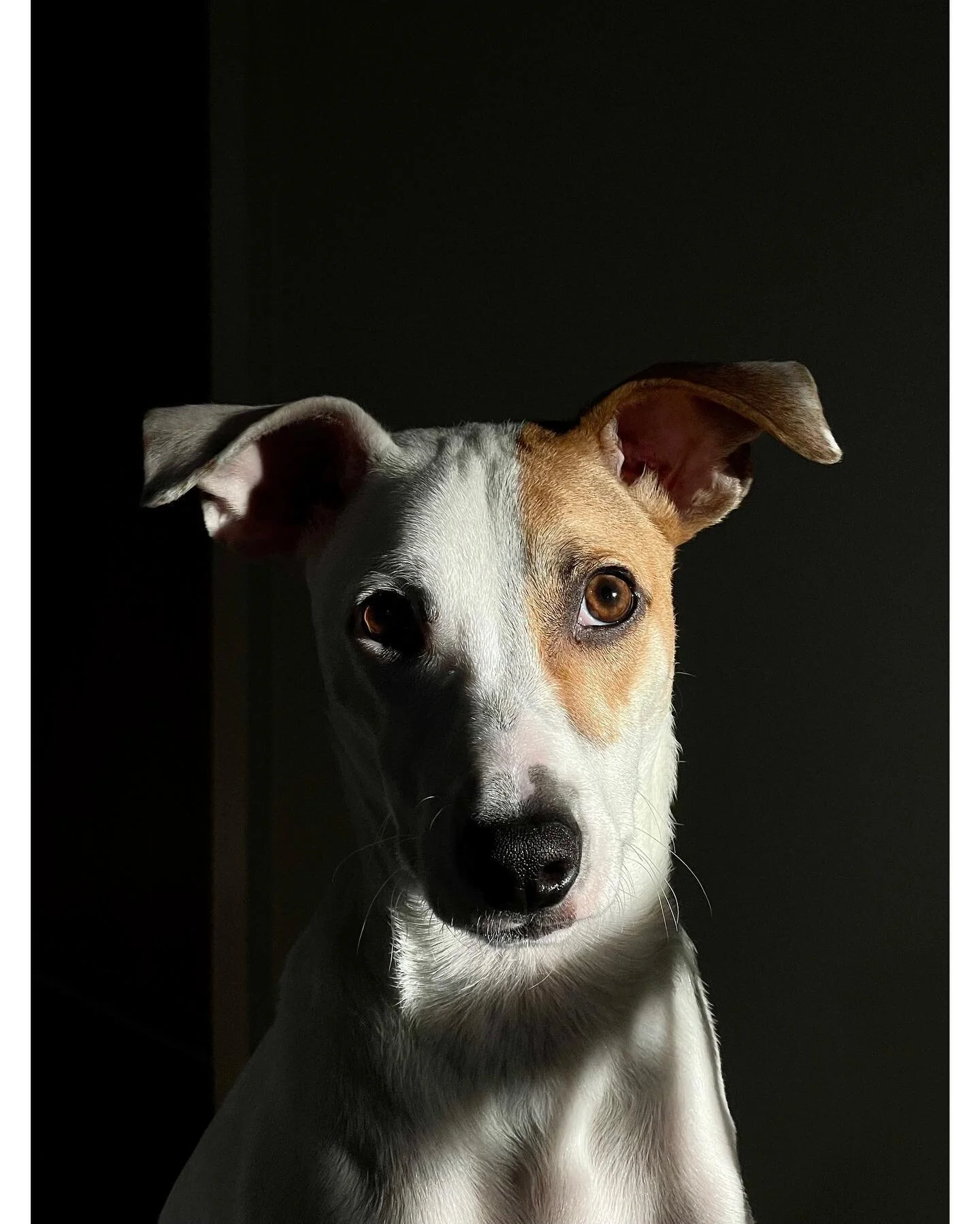 Wally