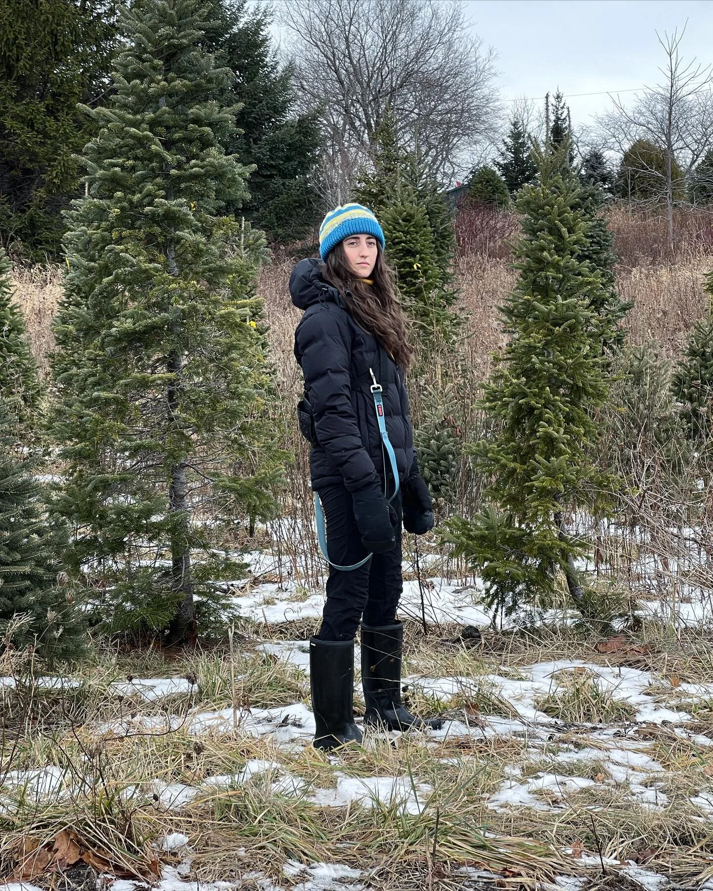 Little sister, big tree, 2022