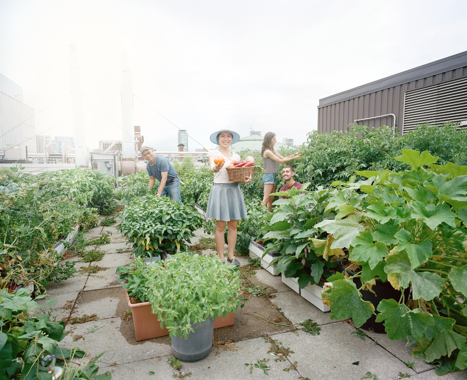 Screen Shot 2023-02-19 at 10.02.36 AM.png