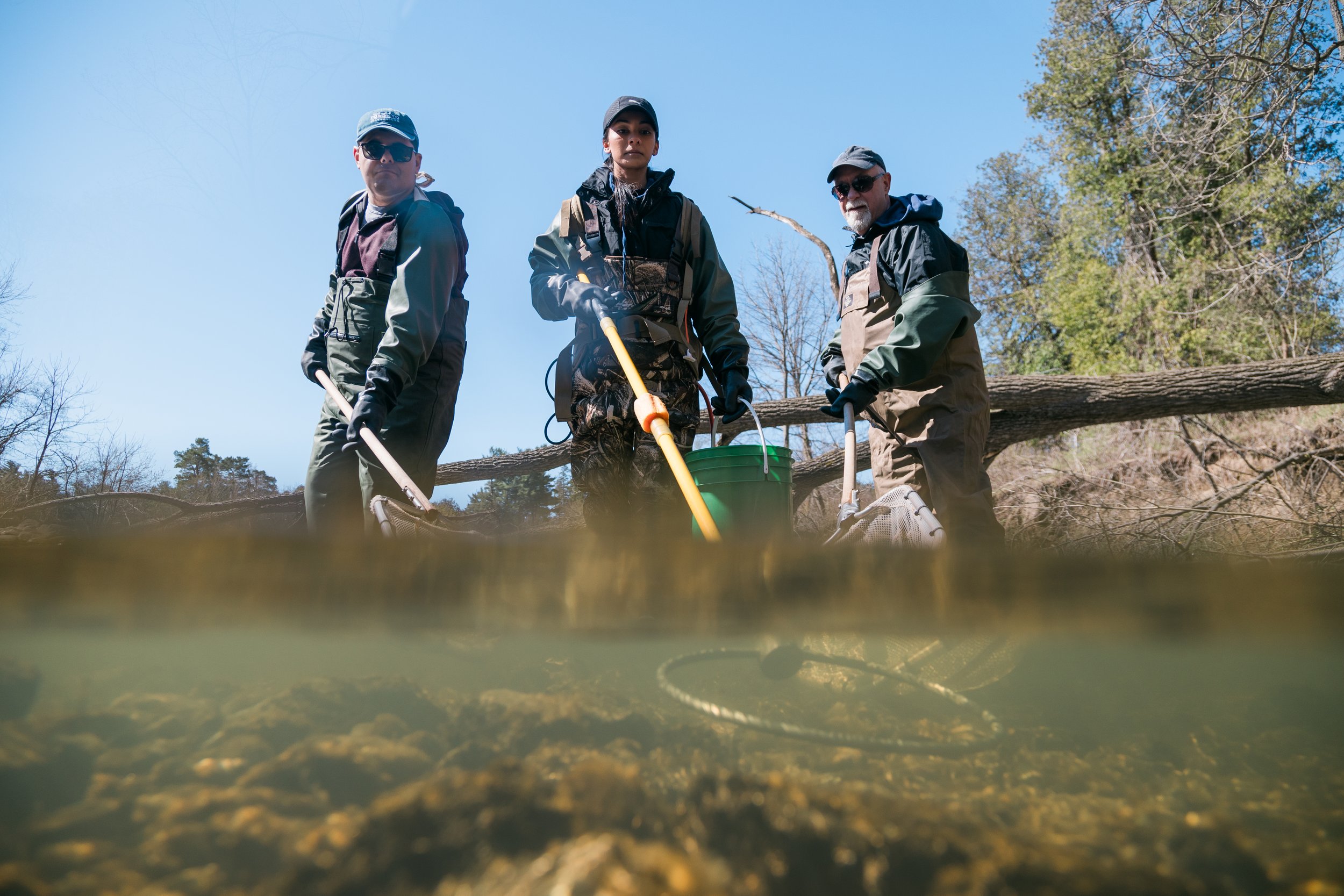 UTSC Highland Creek Fish Identification_April 2024_Volpe-14.jpg