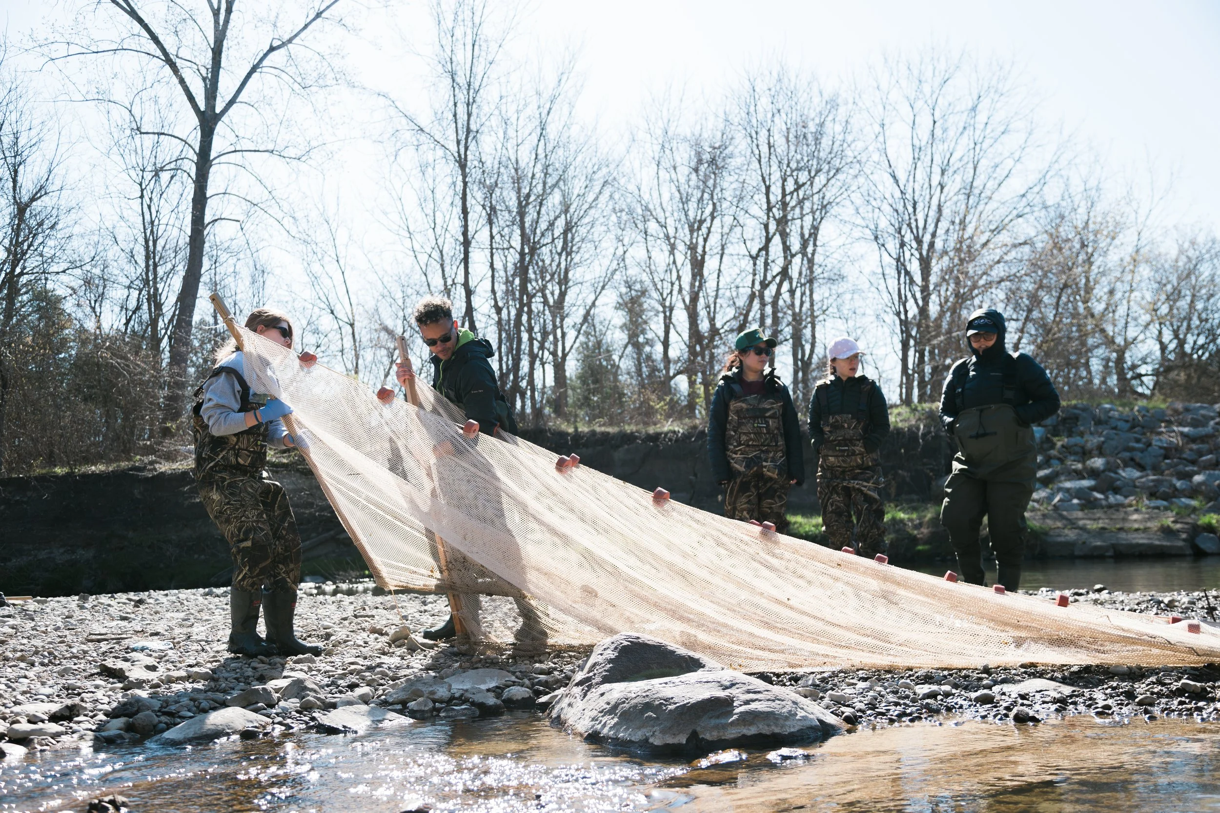 UTSC Highland Creek Fish Identification_April 2024_Volpe-24.jpg