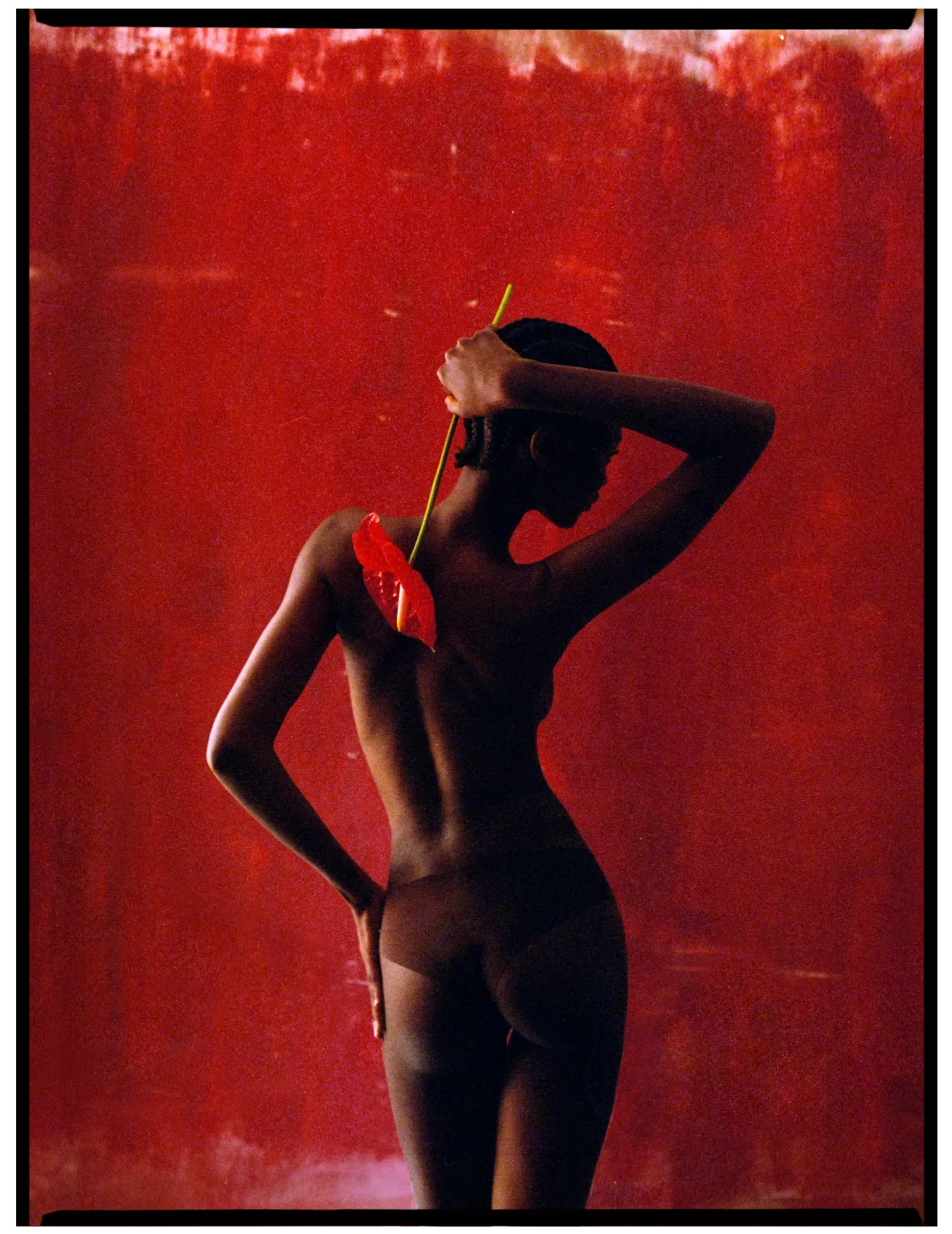 OMOLARA_ABOUTLIGHT_Mei Larrosa-1580x2048.webp