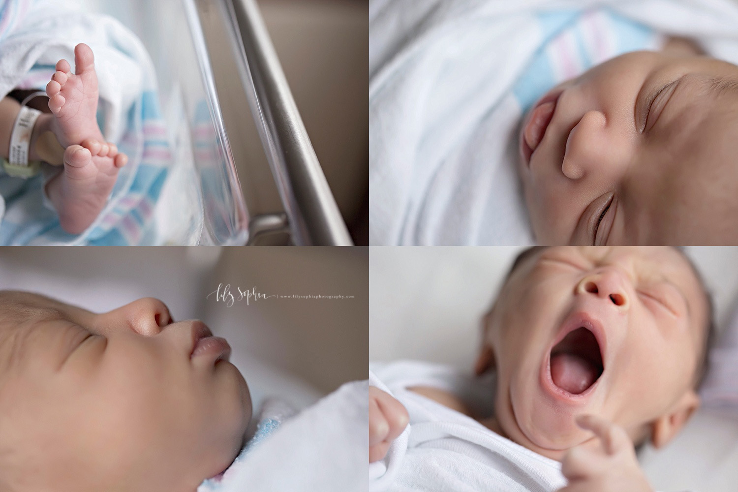 Image collage of newborn, toes, eyelashes, profile and a yawn.&nbsp; 
