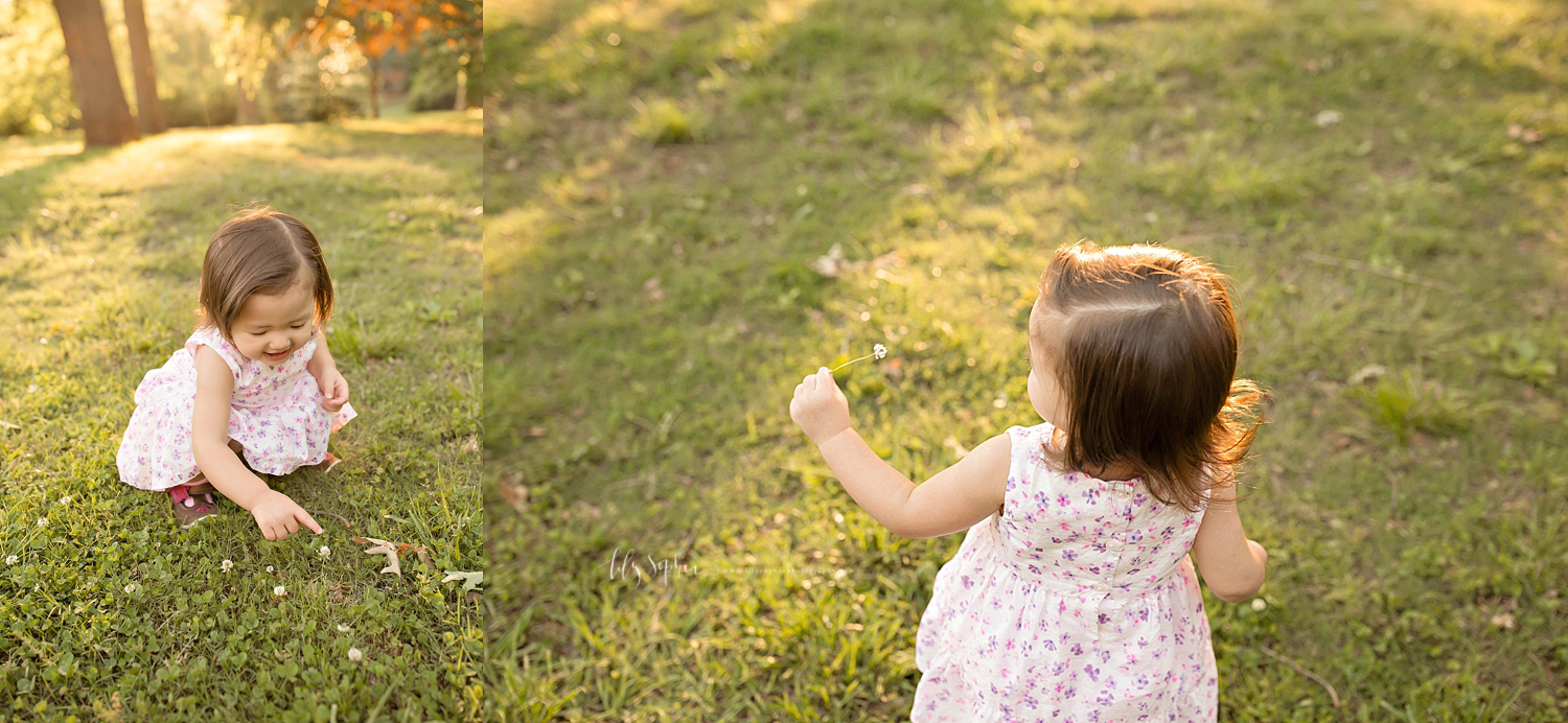  Side by side images of a little, Asian, girl, crouching down and picking a clover flower. &nbsp; 
