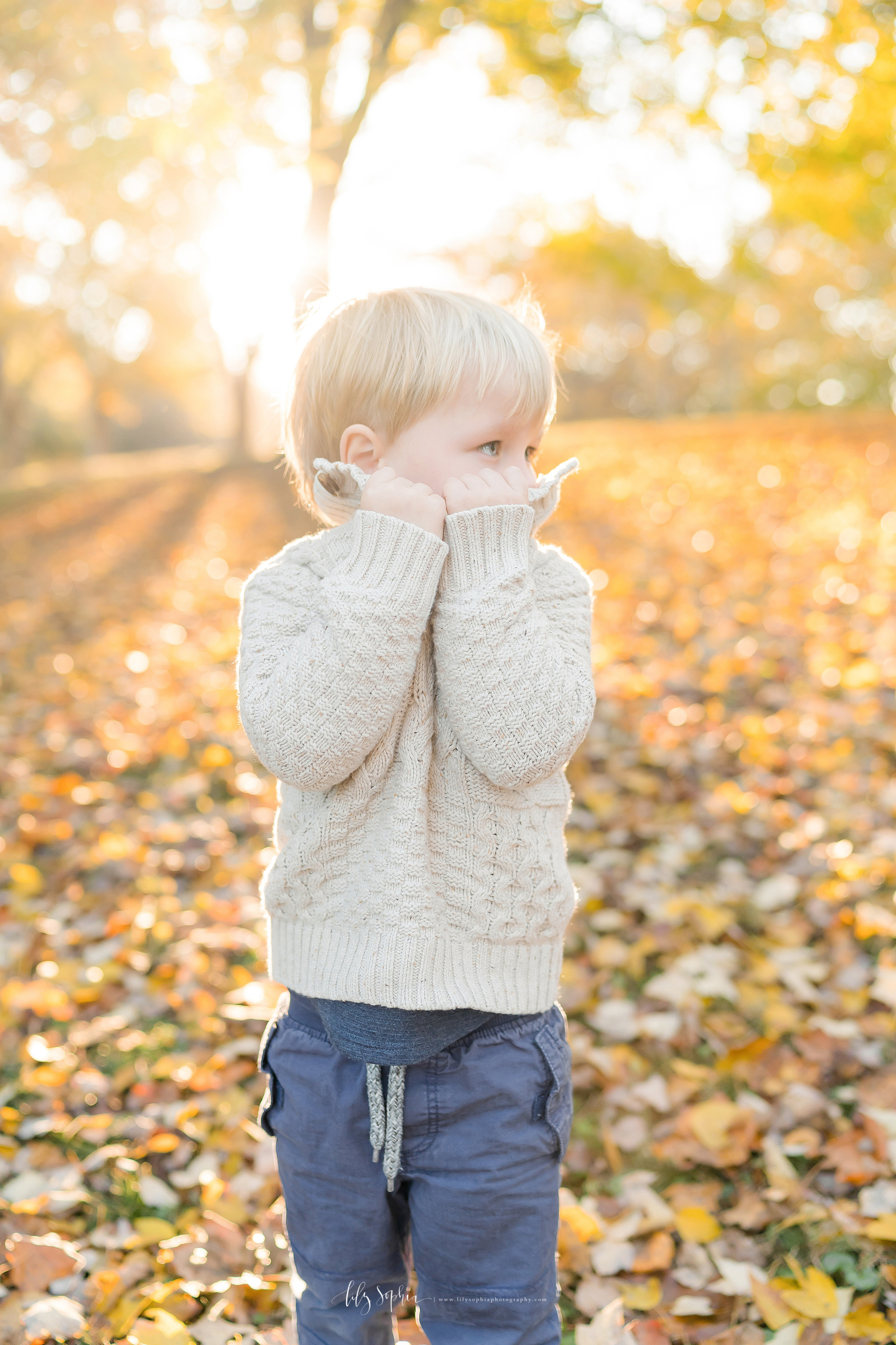 atlanta-midtown-brookhaven-decatur-lily-sophia-photography-photographer-portraits-grant-park-family-sunset-fall-outdoor-session-brothers-toddler-baby_0144.jpg