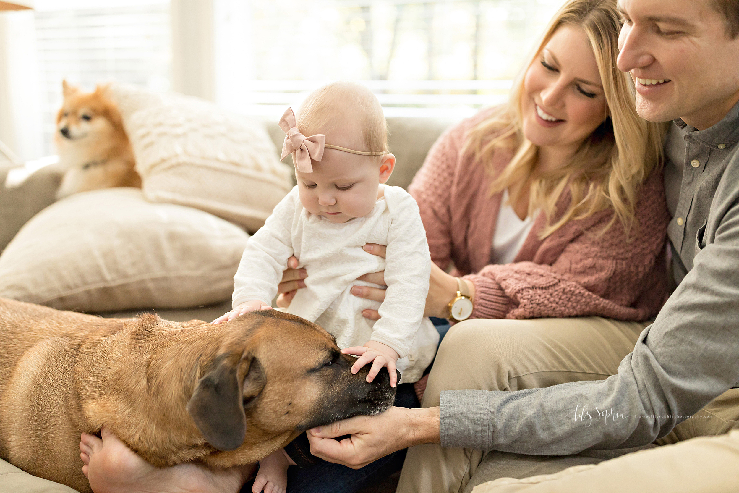  Image of a family of three with their two dogs in their home. Mom is sitting on the sofa and has her baby girl on her lap. She is holding her daughter under her arms as the baby girl puts one hand on the head of the dog and her other  hand on the sn