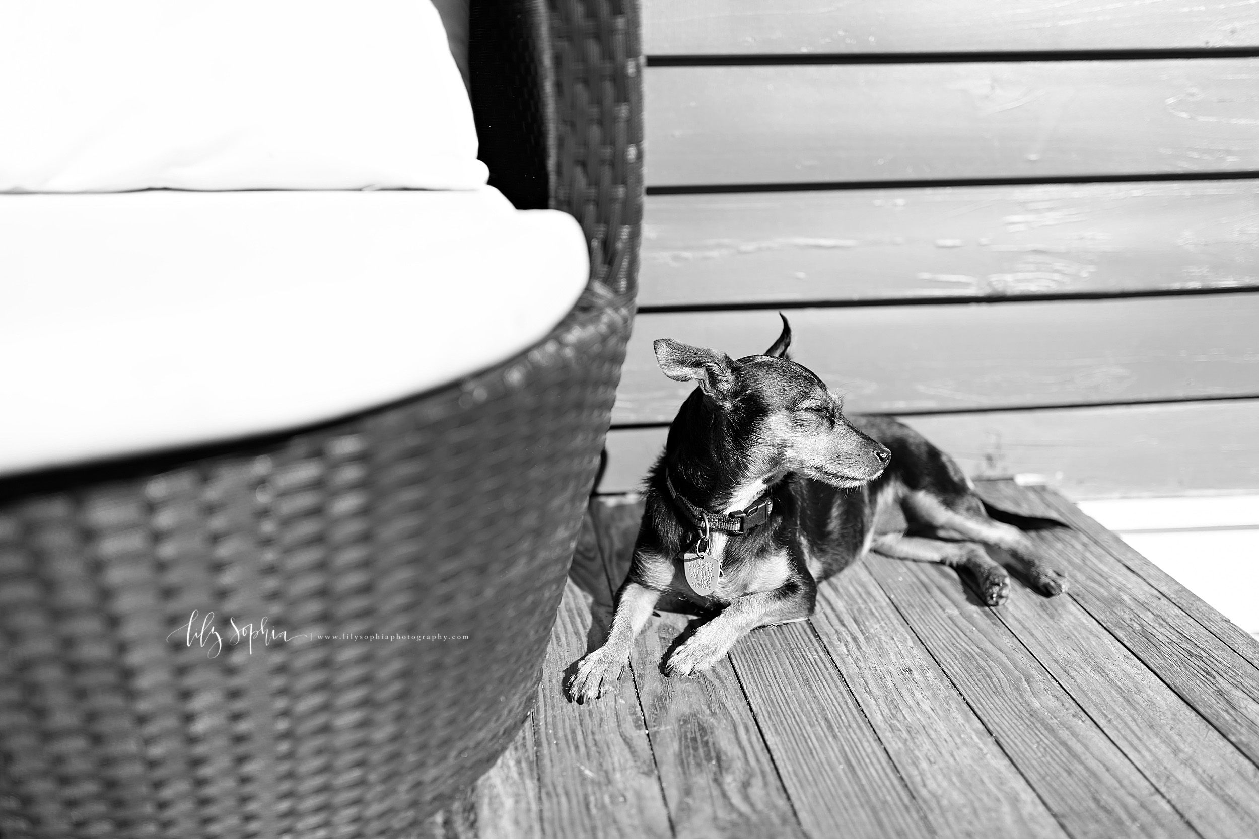 atlanta-adair-park-west-end-sandy-springs-buckhead-virginia-highlands-west-end-decatur-lily-sophia-photography-toddler-boy-family-in-home-lifestyle-session-photos_1177.jpg