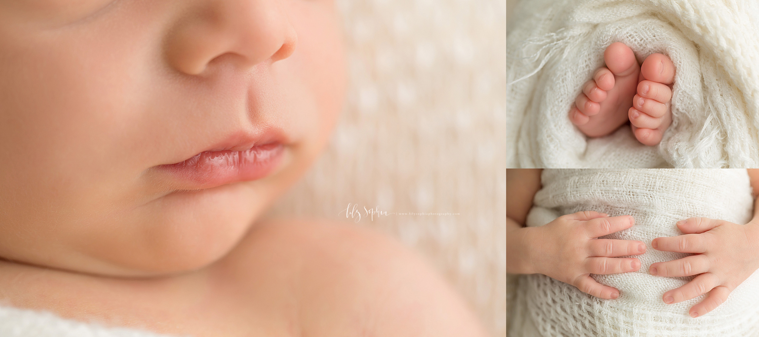  Photo of newborn boy’s attribute collage.  The delicate lips, tiny hands and fingers, and adorable toes are featured in this collage. 