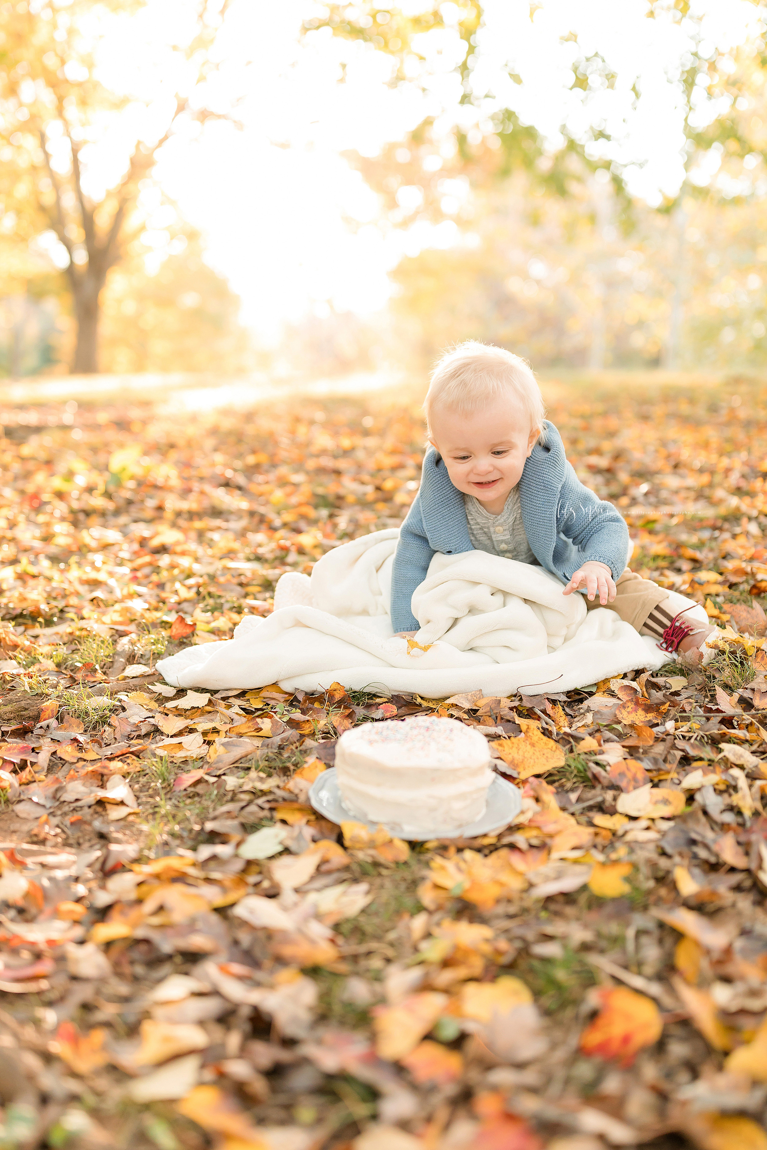 atlanta-brookhaven-decatur-sandy-springs-buckhead-virginia-highlands-west-end-decatur-lily-sophia-photography-ukraine-family-one-year-old-first-birthday-baby-boy-outdoor-fall-cake-smash_1532.jpg