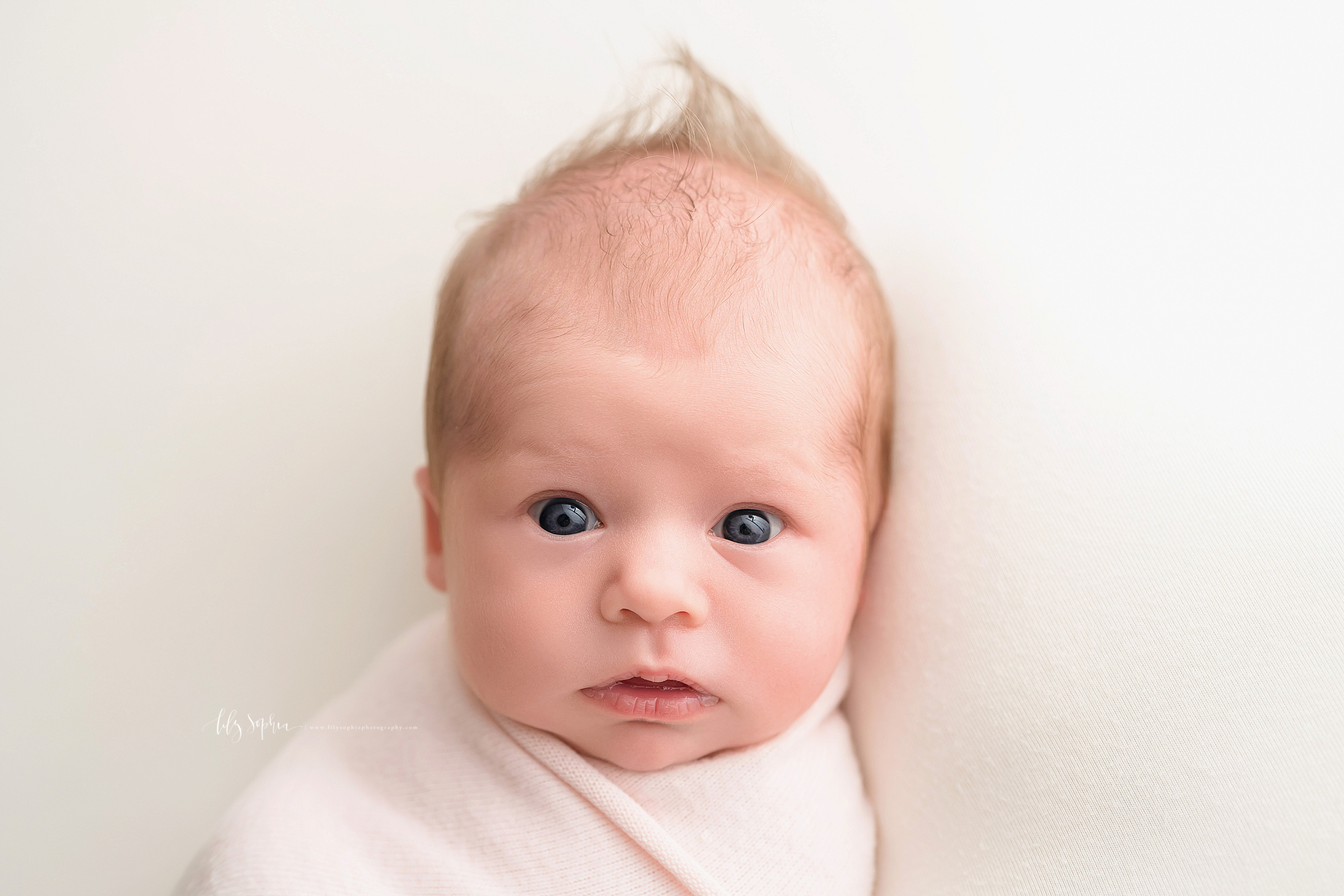  Photo of a wide awake blue eyed newborn girl as she lays swaddled to her chin in a natural light Atlanta studio. 