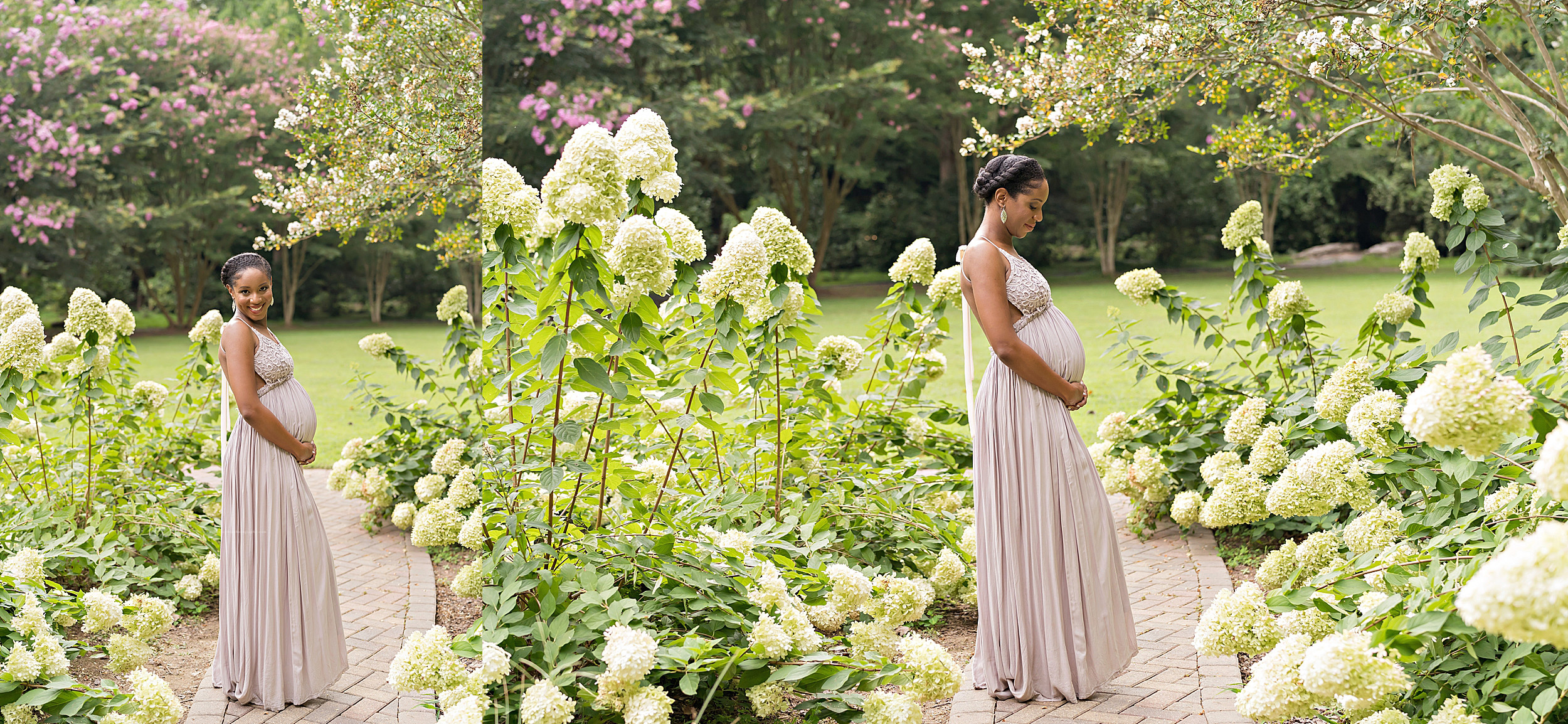  Split maternity photo of an African-American woman as she stands on a brick walkway among the hydrangeas in at sunset in an Atlanta garden. 