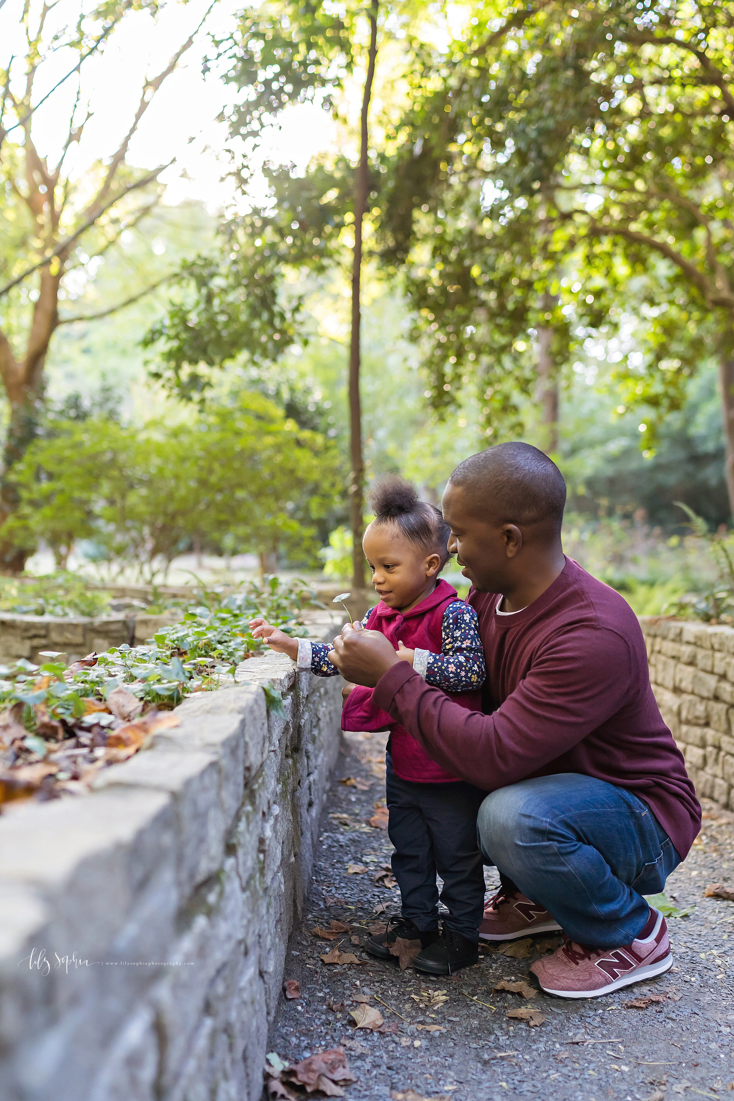  Family photograph of an African-American father as he picks a flower for his daughter along a stone wall in a garden at sunset near Atlanta, Georgia. 