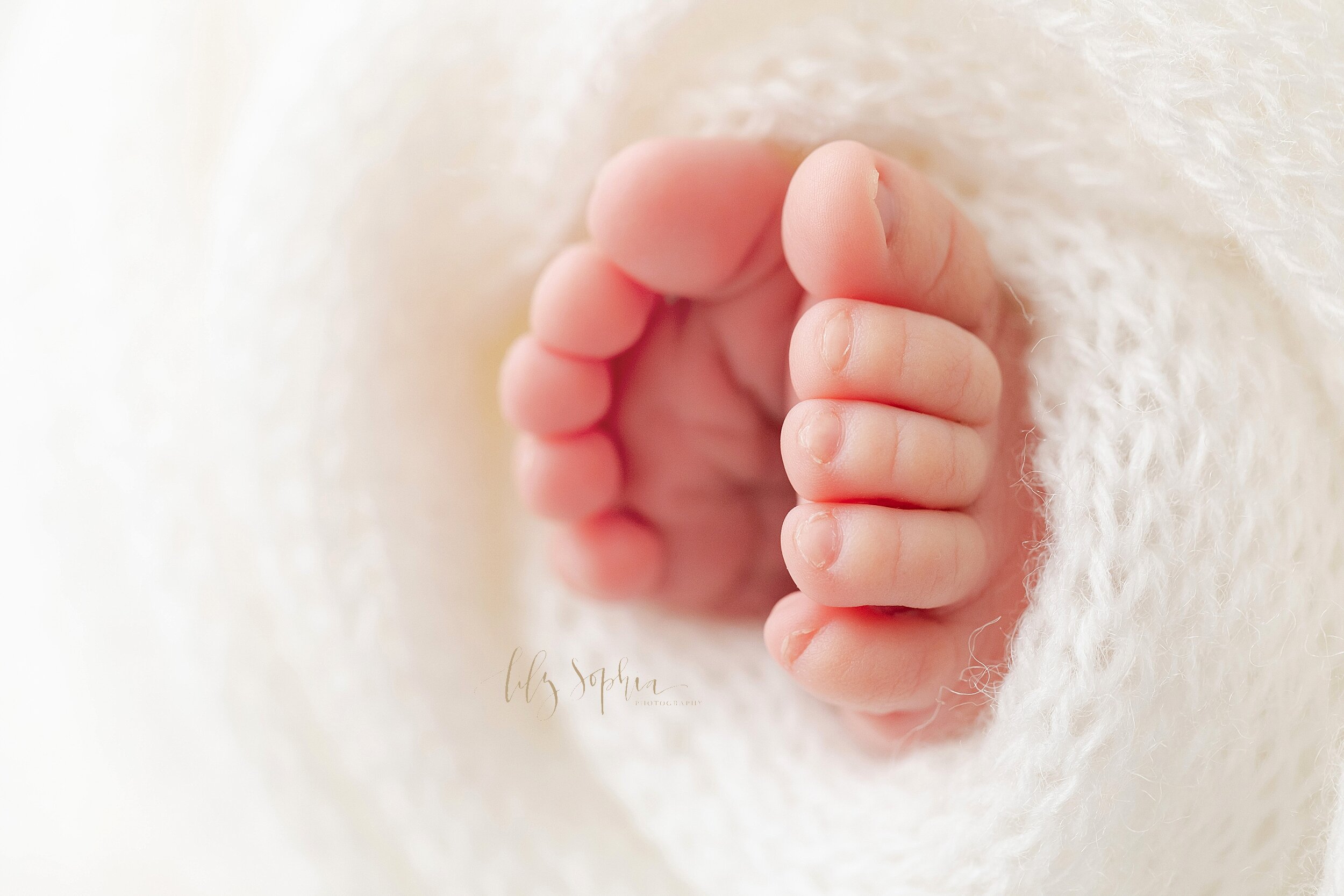  Newborn photo of a newborn boy’s tiny toes as they peek out from a soft knitted blanket taken in the Lily Sophia Photography Studio in Ponce City Market in Atlanta in natural light. 
