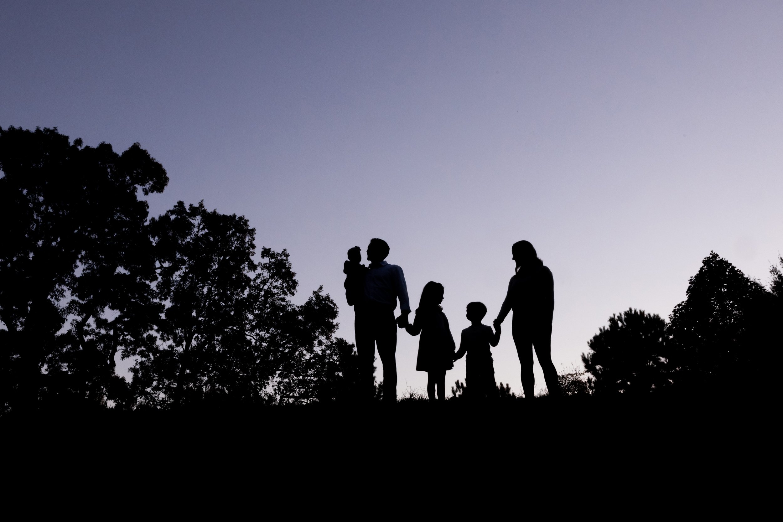  Family silhouetted photo of a father holding his youngest child in his arms as he holds the hand of his other daughter who holds the hand of her brother who holds the hand of his mother as they all stand on the top of a ridge in a park near Atlanta 