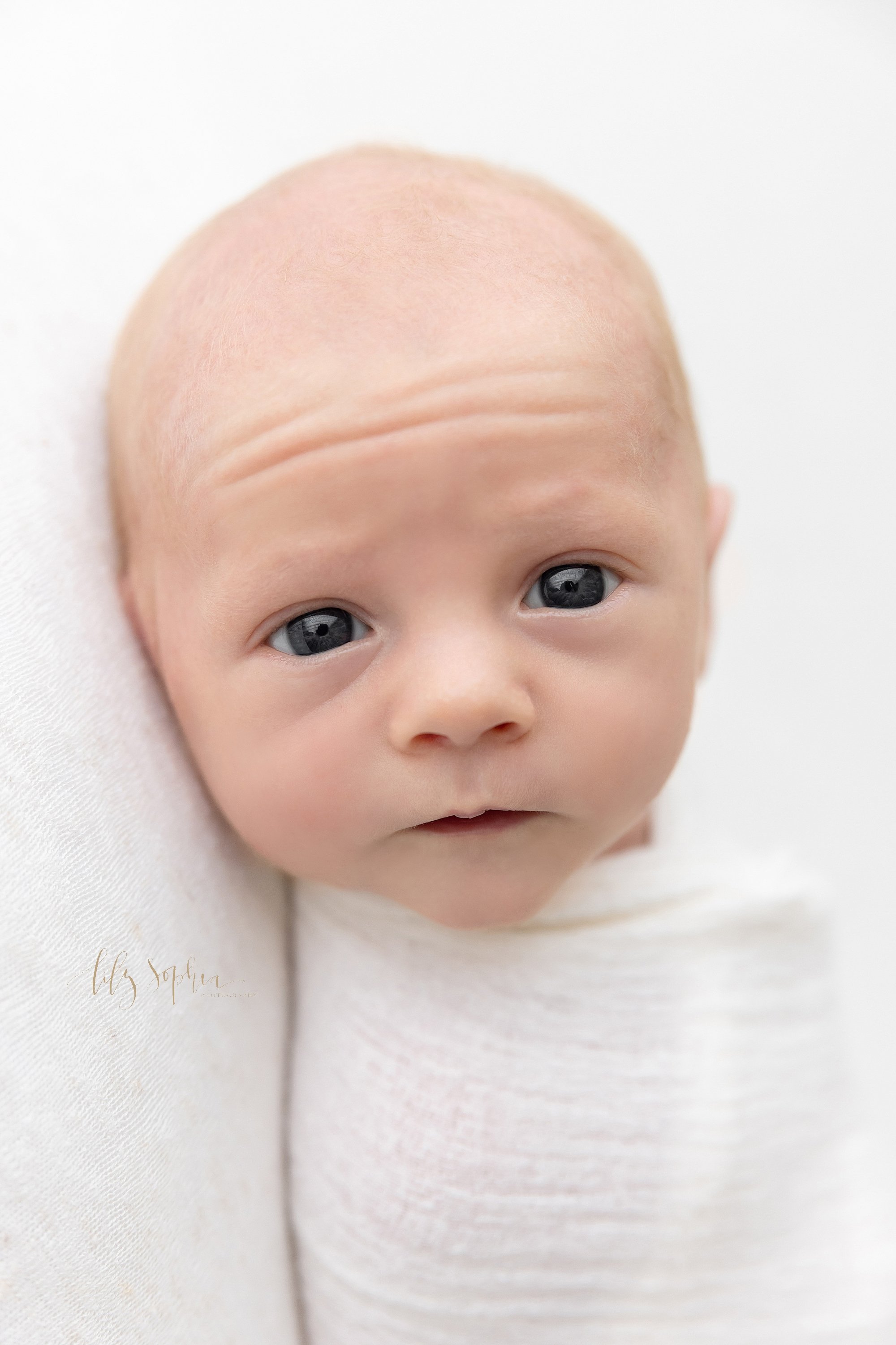  Close-up portrait of a wide awake newborn baby boy as he lies on his back swaddled to his neck in a soft white blanket taken near Decatur in Atlanta in a studio that uses natural light. 
