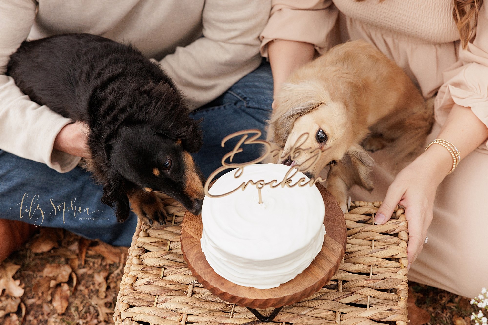 intown-atlanta-morningside-decatur-brookhaven-buckhead-outdoor-couples-maternity-fall-photoshoot-daschunds-doxies-gender-reveal_6181.jpg