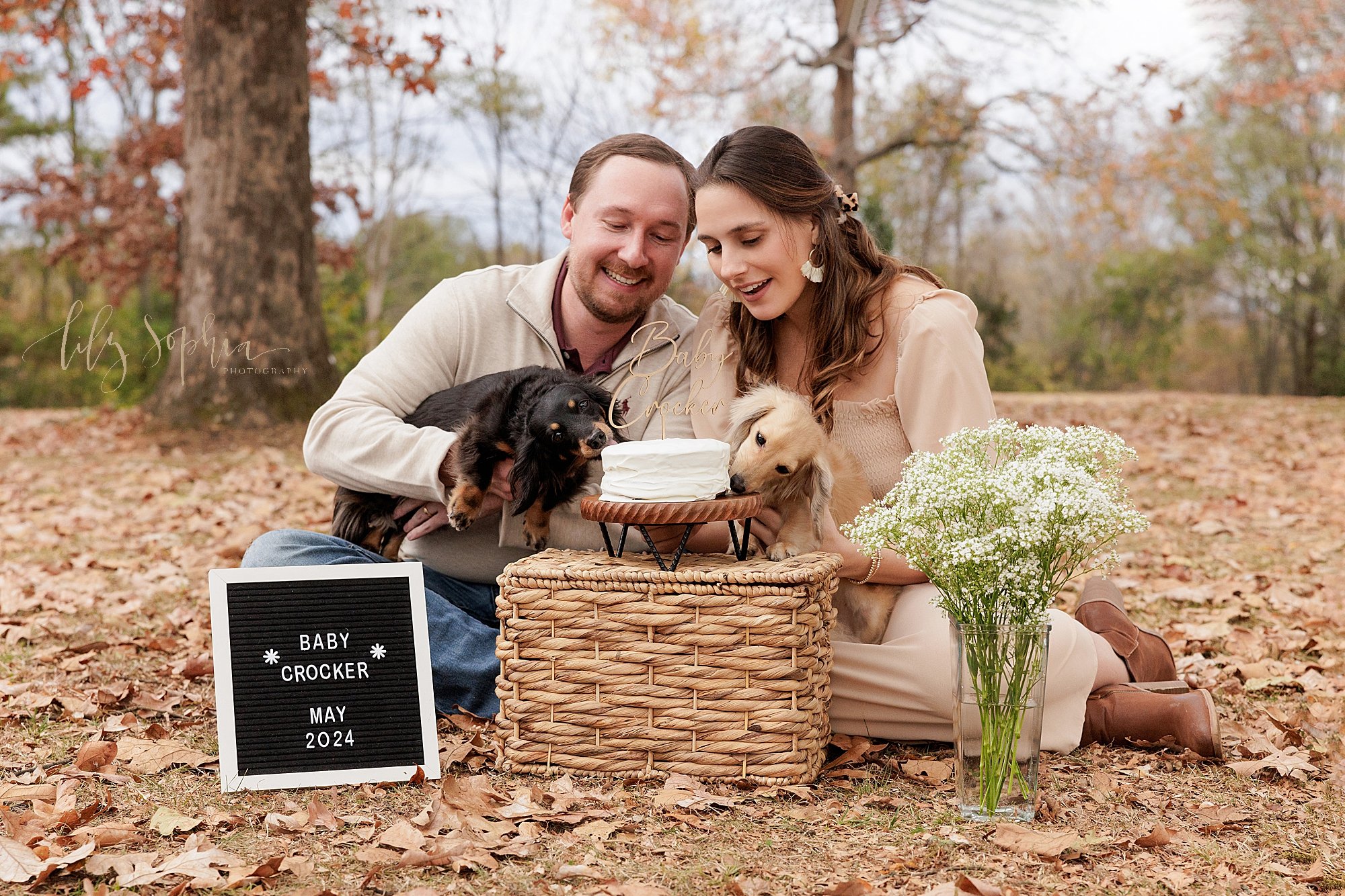  Maternity photo session during autumn as the couple sit among the leaves at a park in Atlanta as they hold their dachshund dogs while the dogs nibble the cake to reveal the gender of the baby taken at sunset. 