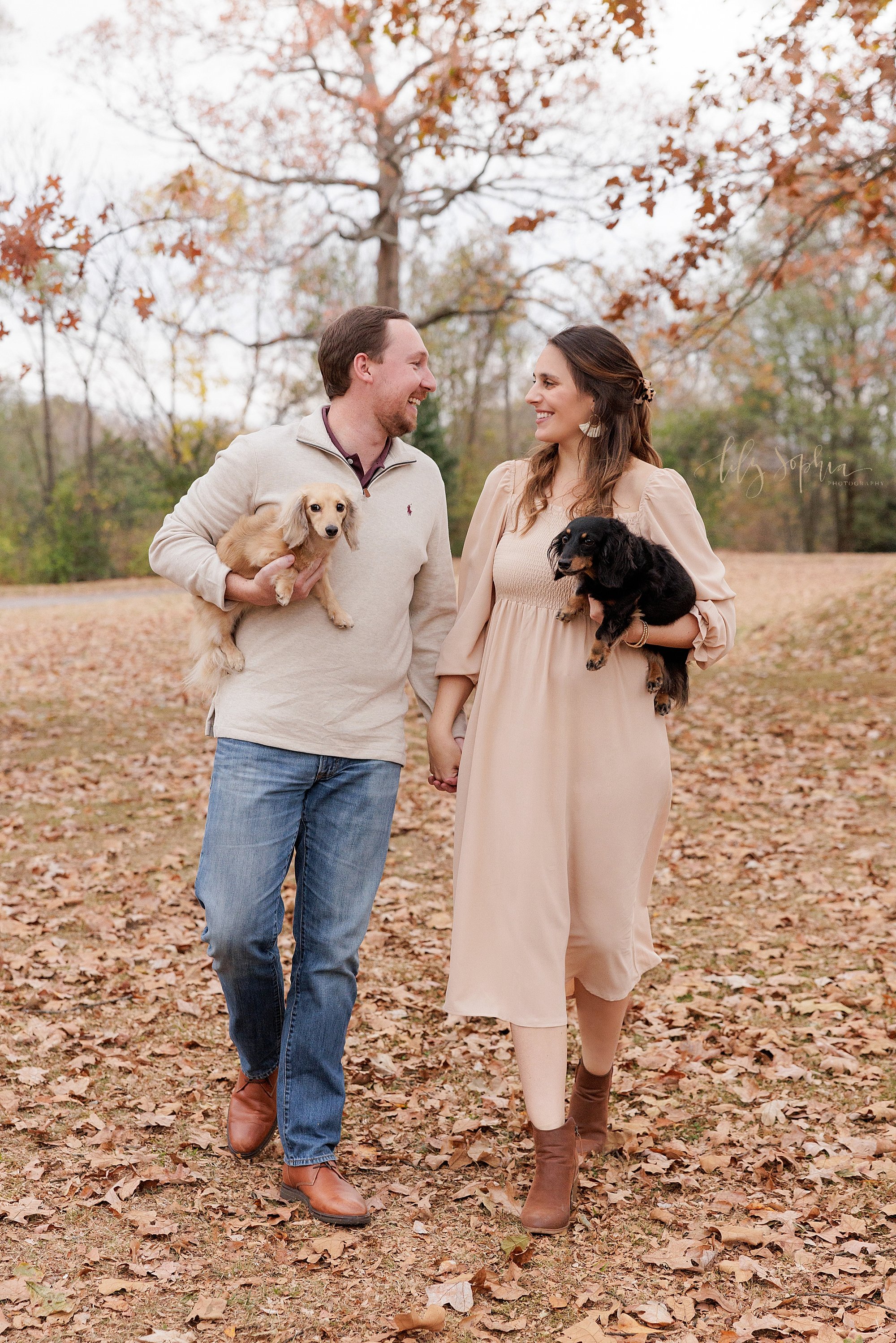  Maternity portrait of an expectant couple as each of them hold one of their dachshund dogs in their arms while walking hand in hand through the autumn leaves carpeting a park near Atlanta, Georgia. 