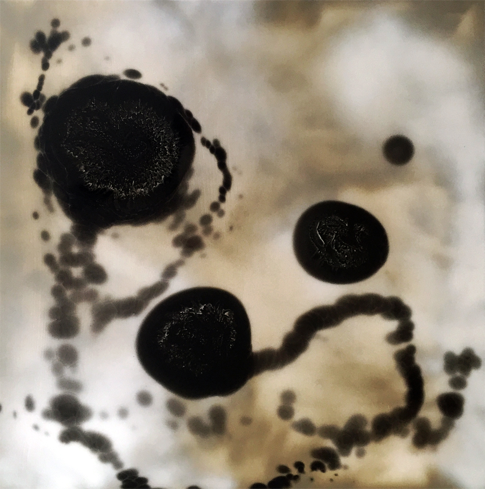 Petri Series 3: 1