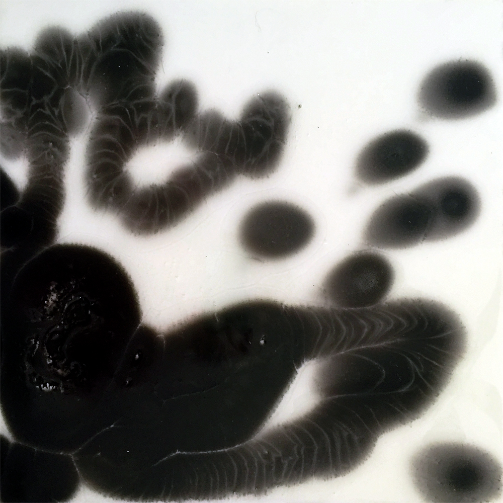 Petri Series II: 2