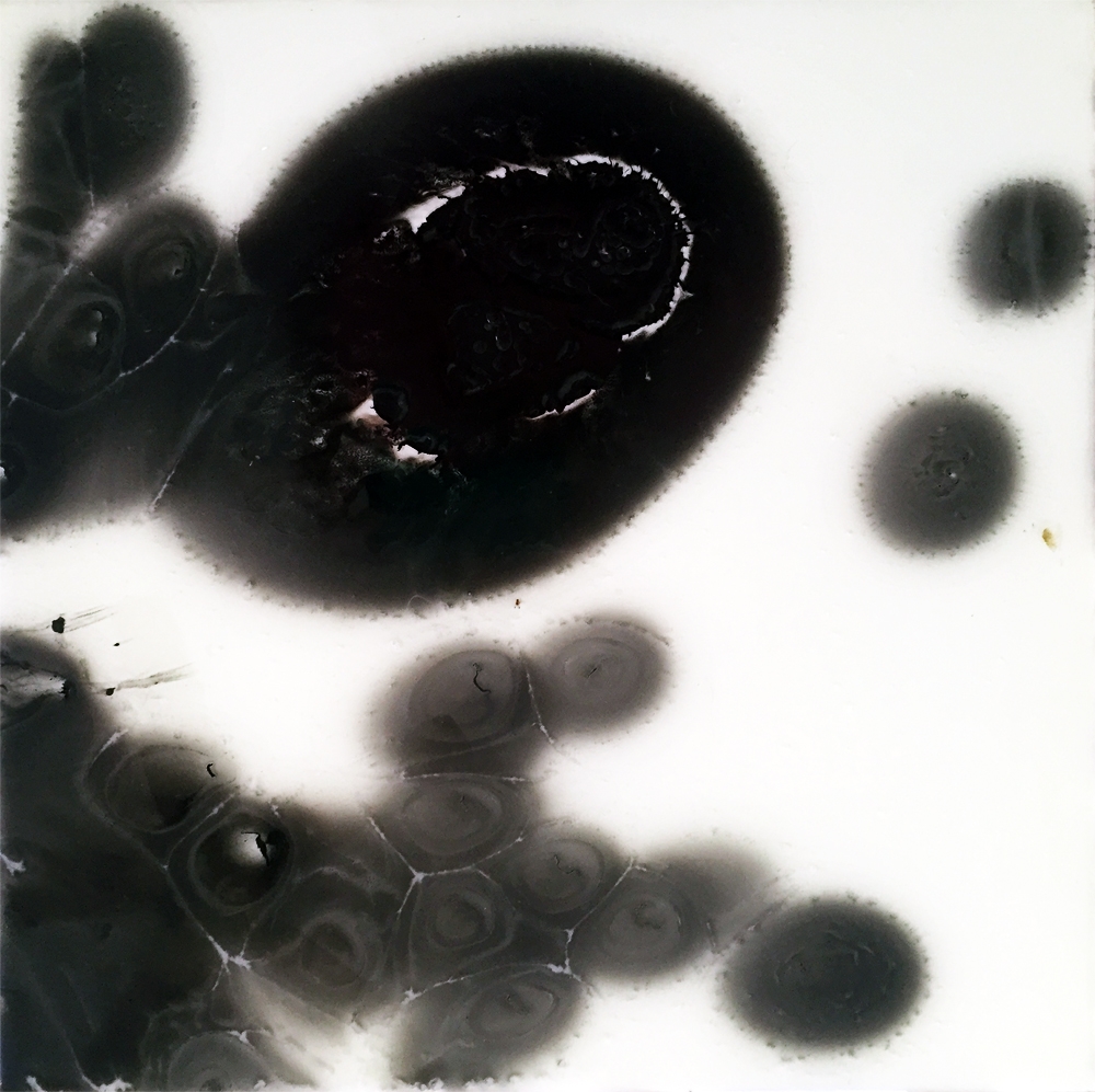 Petri Series II: 3