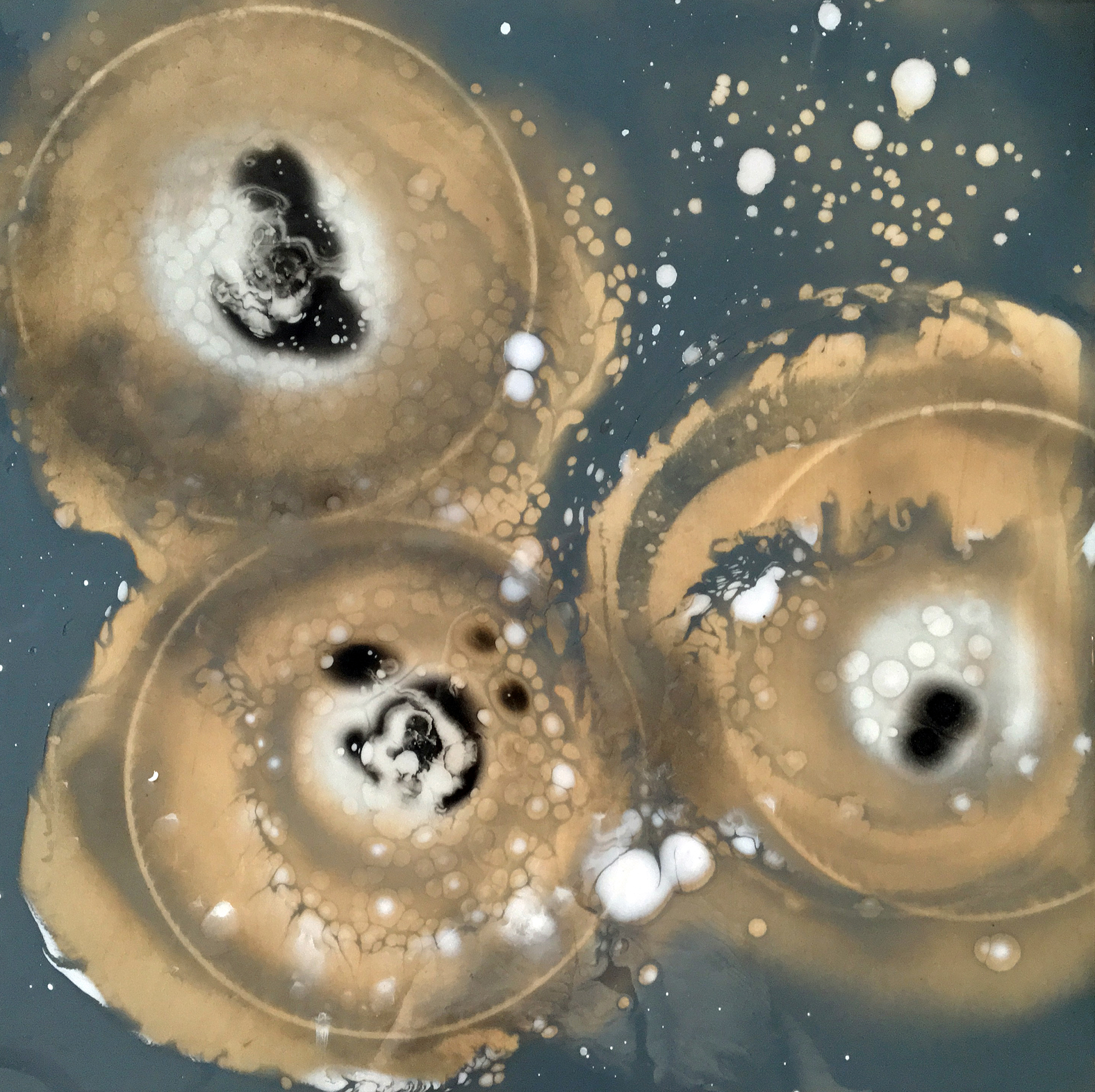 Petri Dish Series: Sneeze III