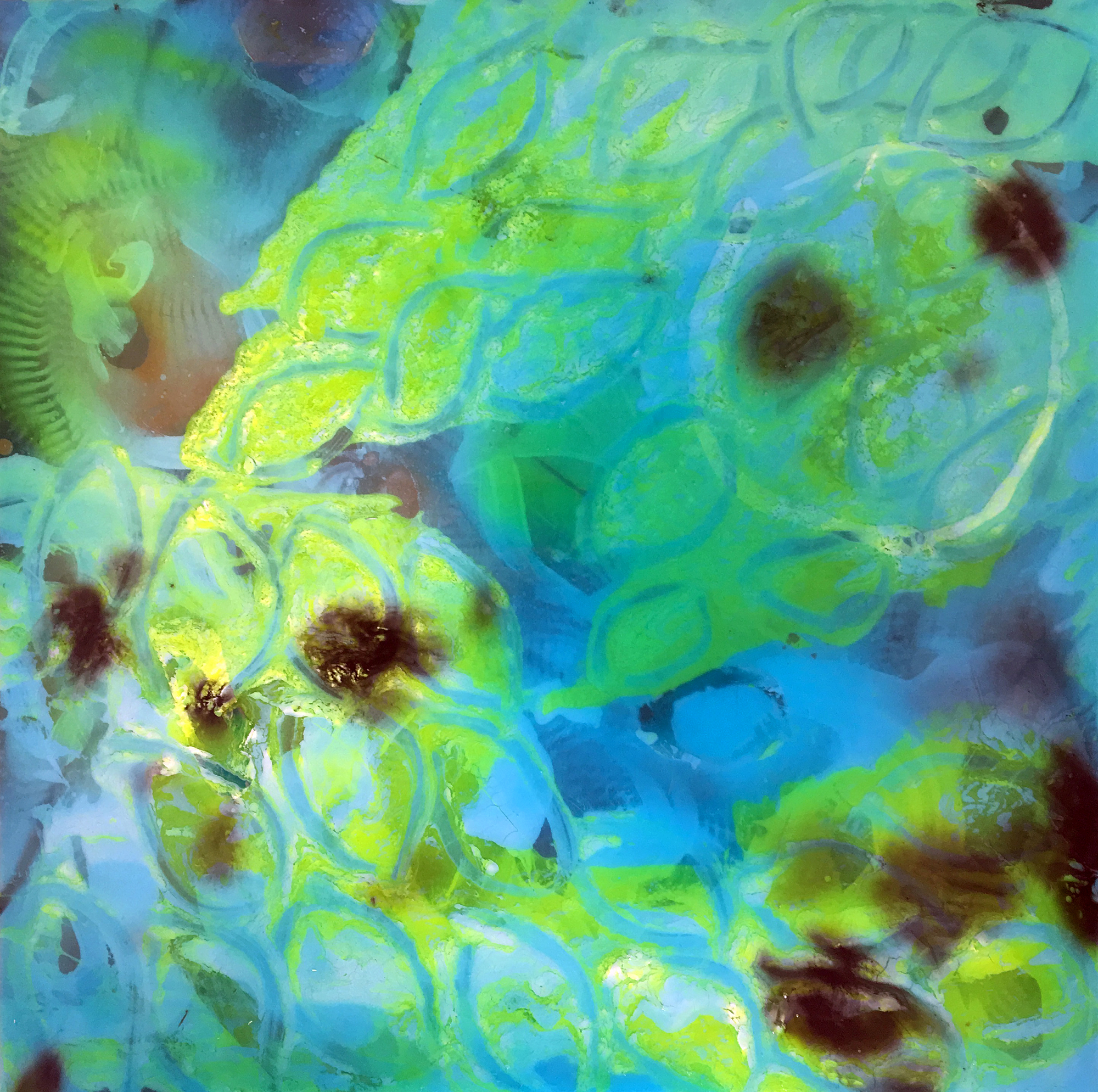 Petri Dish: Bioluminescence