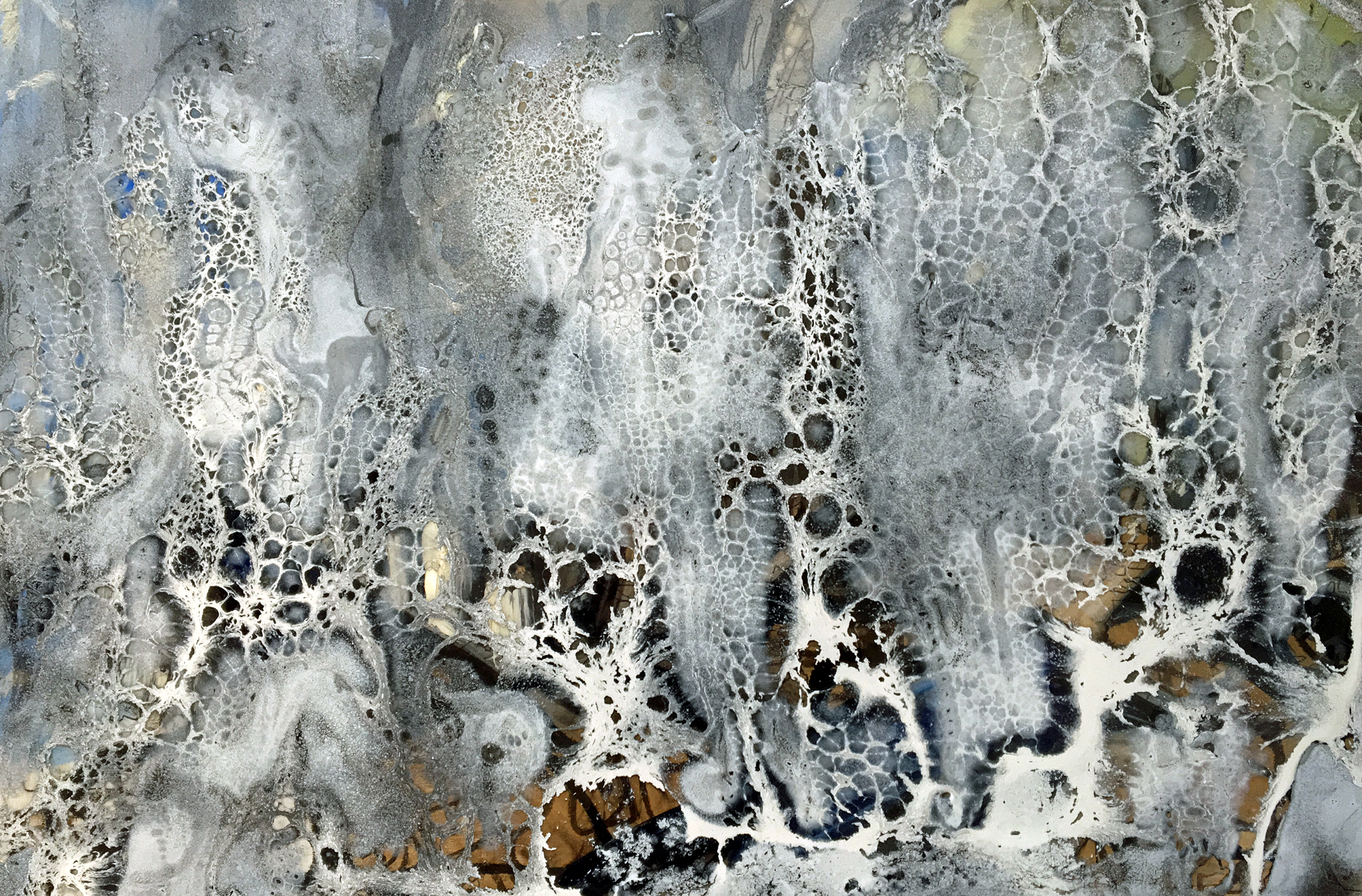 Petri Dish Series: Muscle