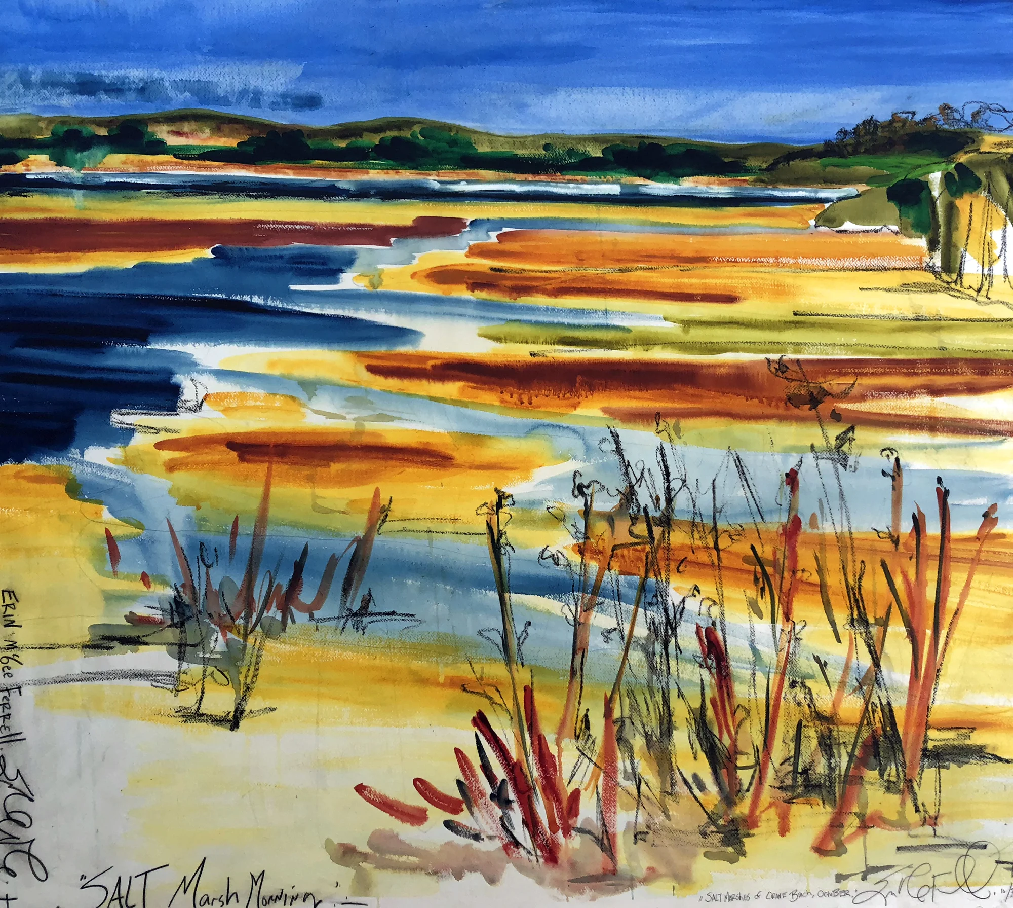Salt Marsh