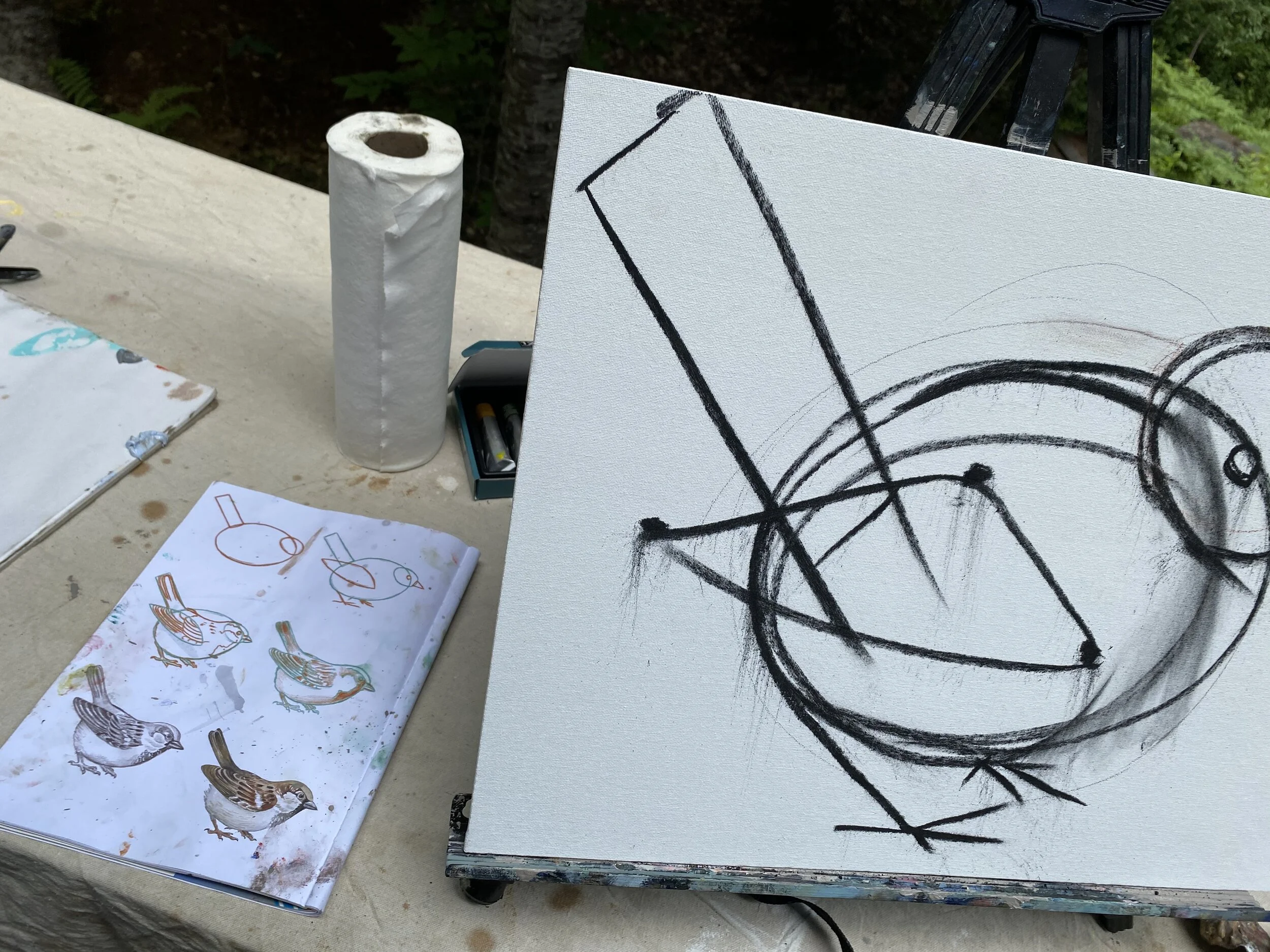 1 Lesson: Birds. New Hampshire Woods