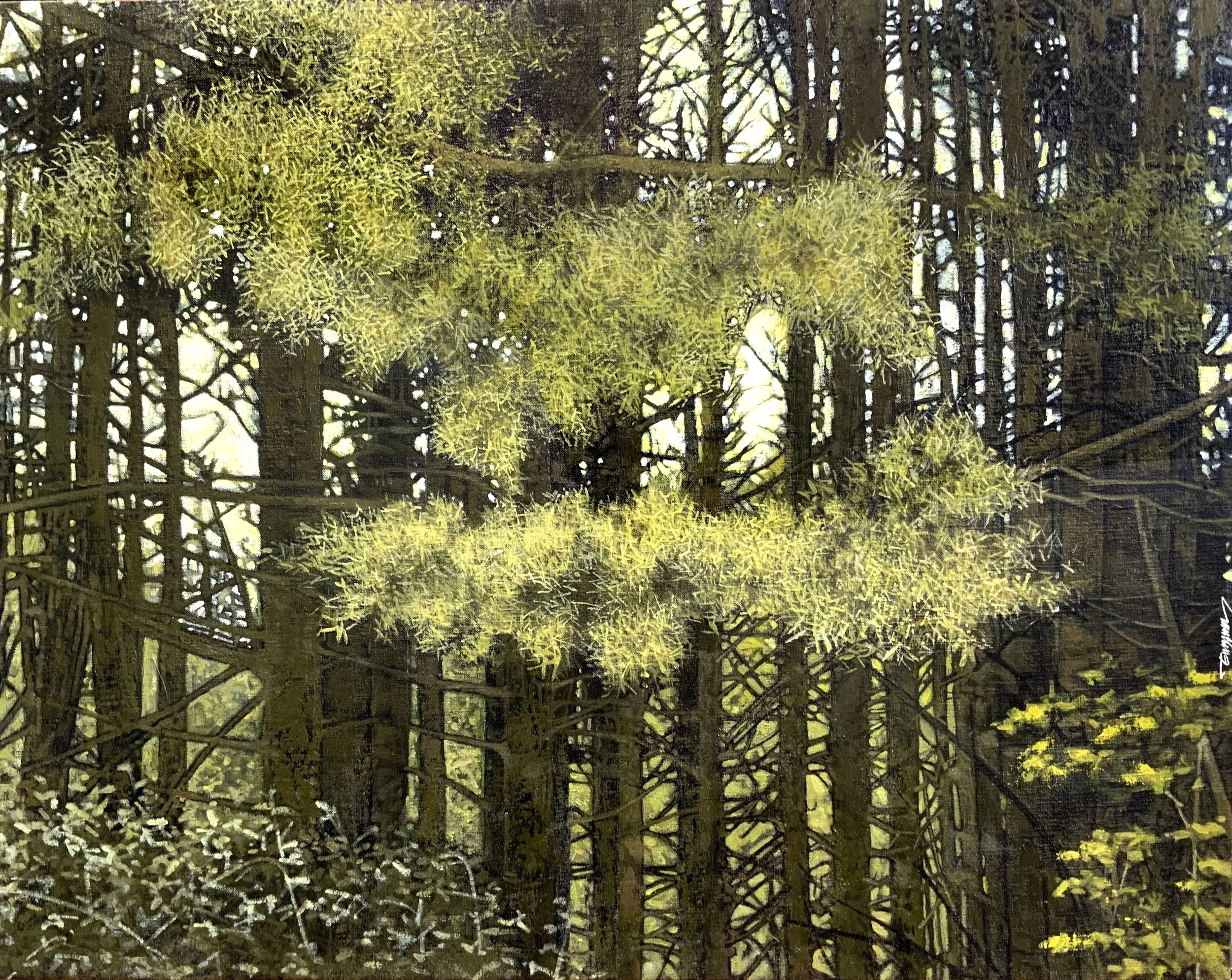 Liberty Pines finishedHi-Rez.jpg