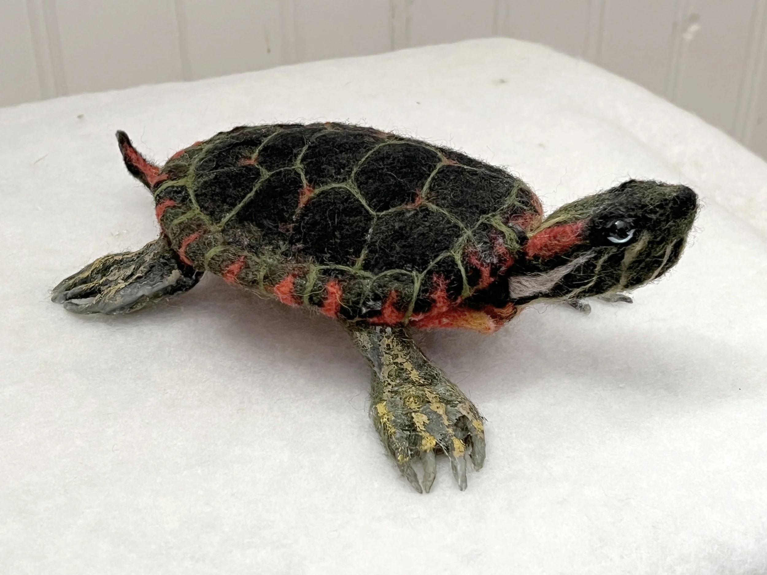 NFelted turtle done1.jpg