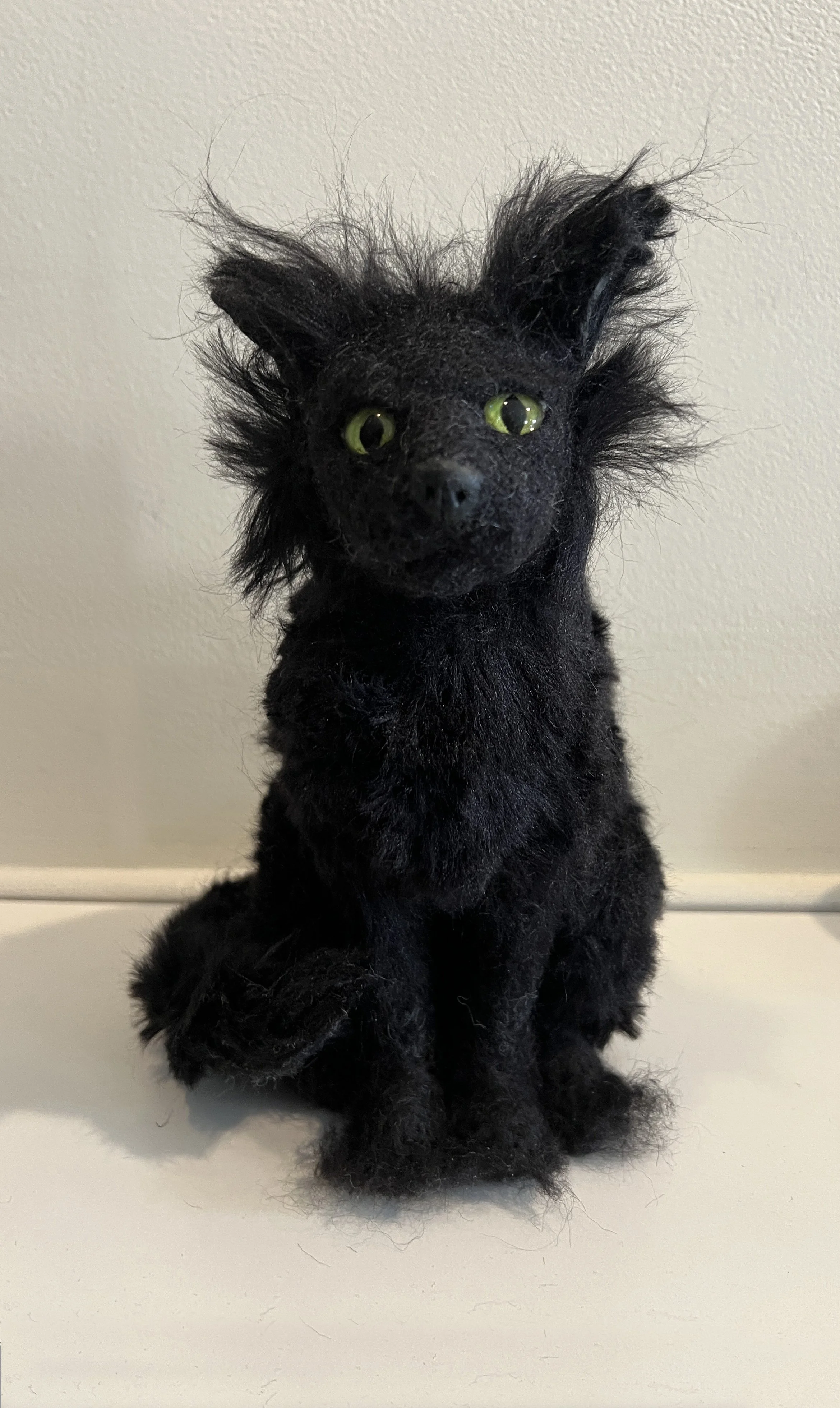 Scaredy Cat 1.jpg