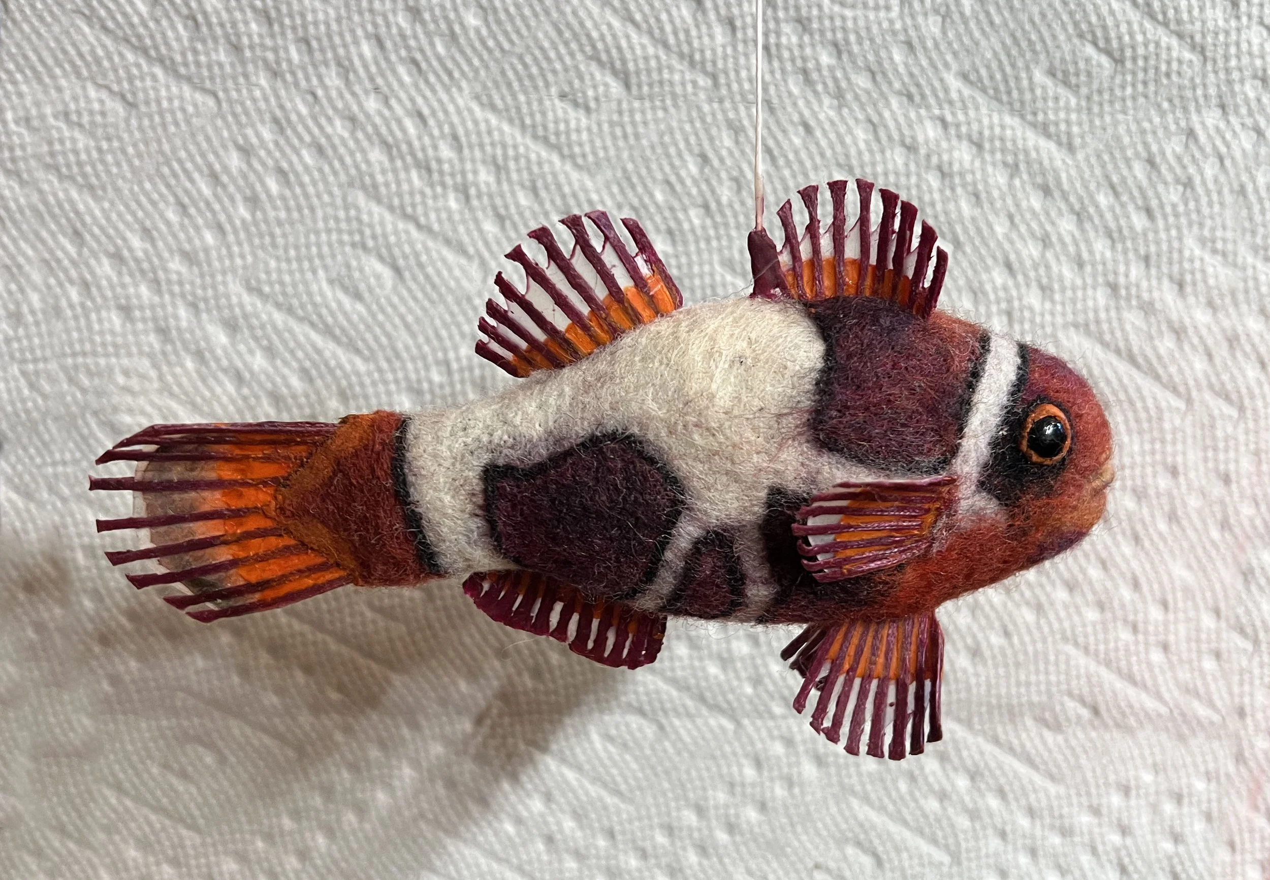 K Peacekleeper Maroon Clownfish.jpg
